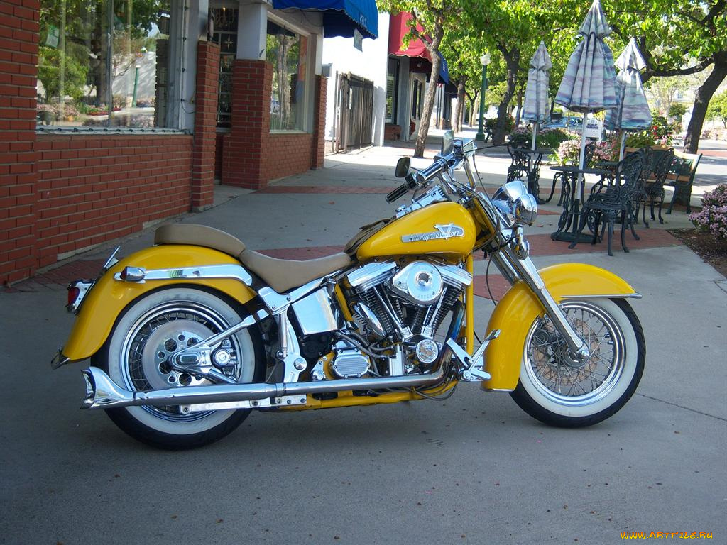мотоциклы, harley, davidson