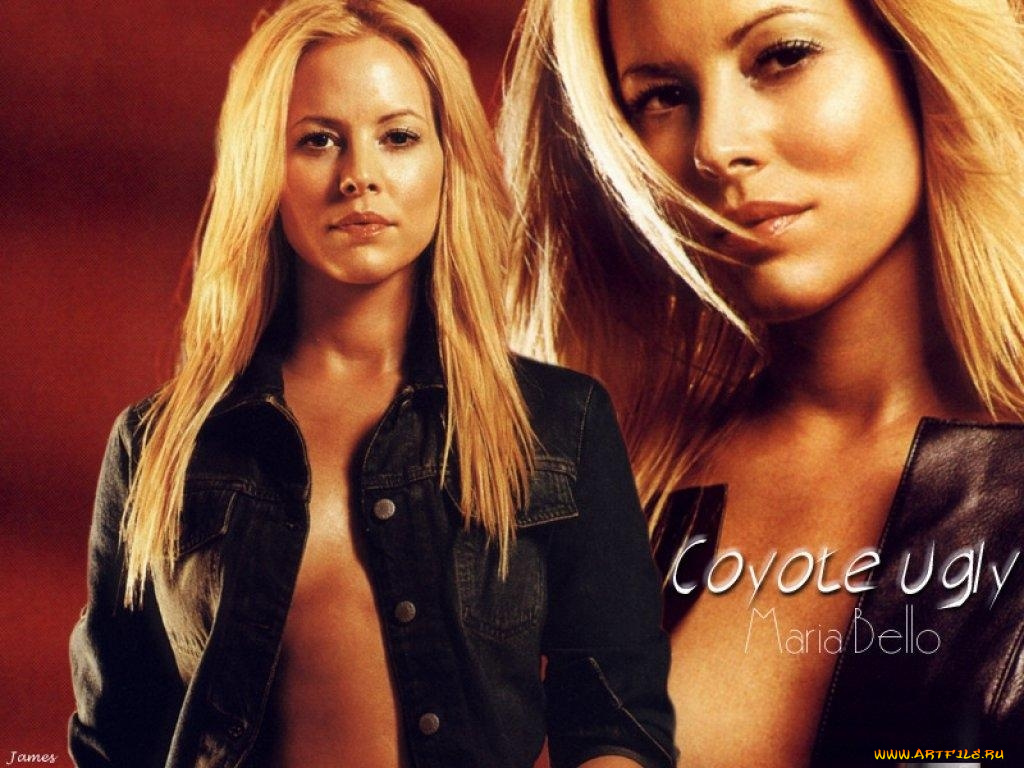 coyote, ugly, кино, фильмы
