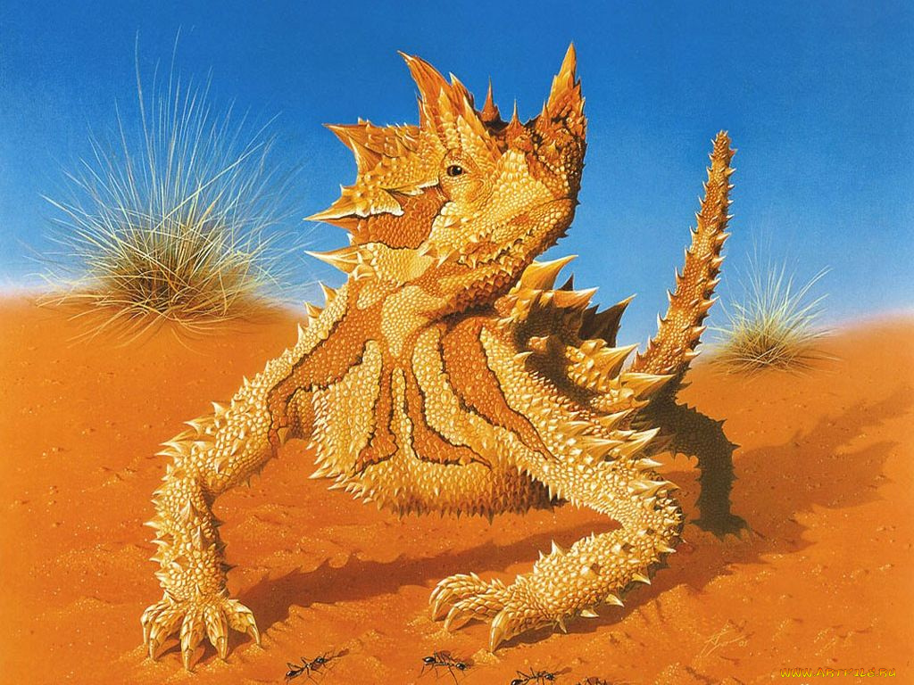 рисованные, животные