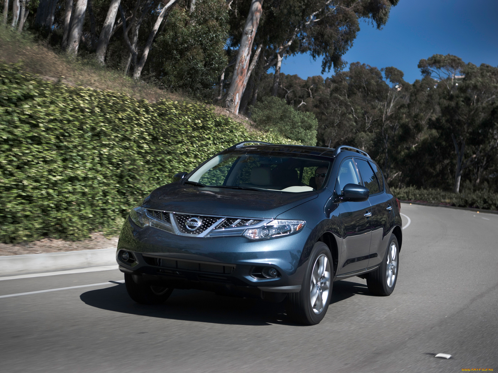 автомобили, nissan, datsun