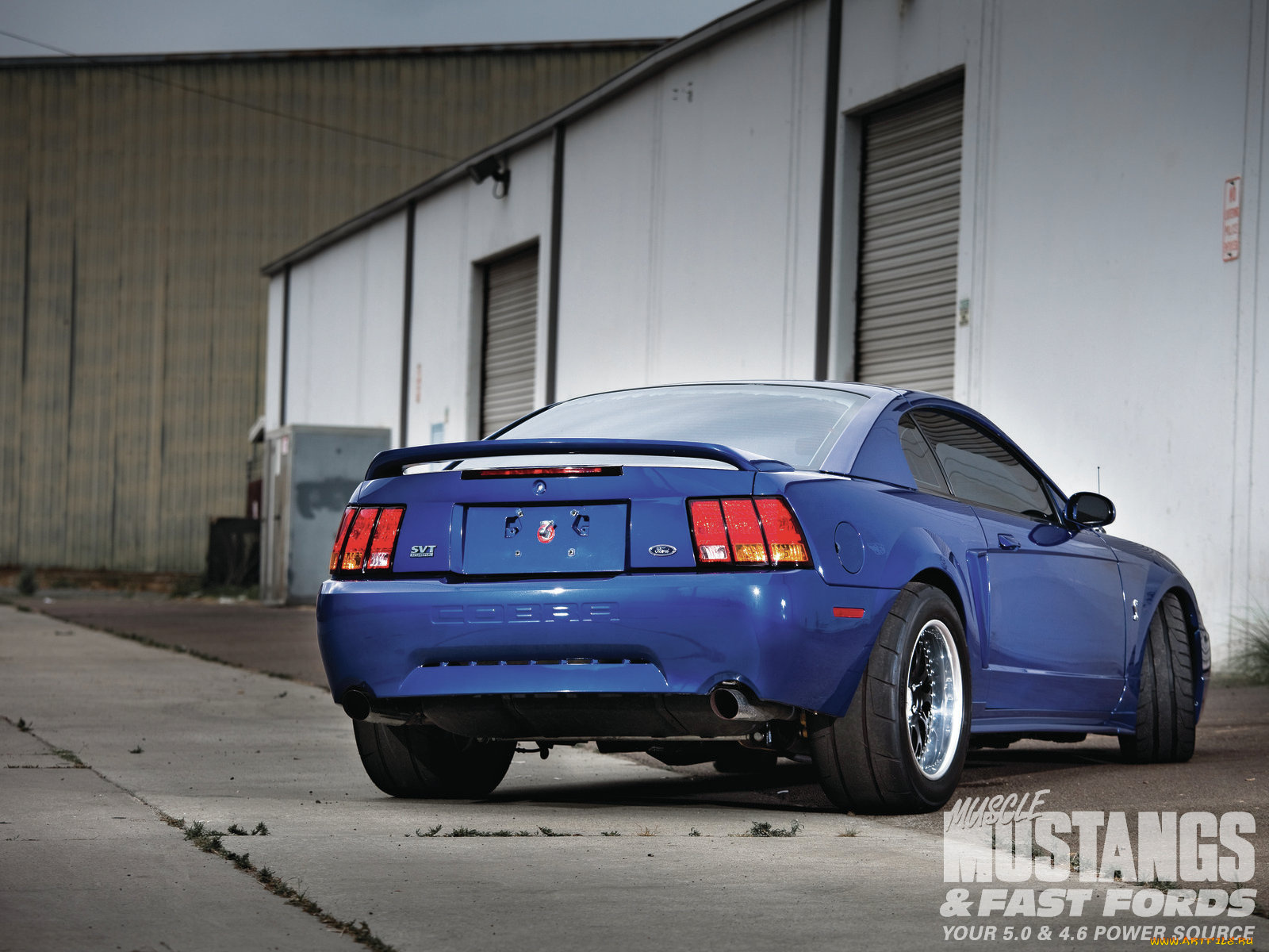 1999, ford, mustang, cobra, автомобили