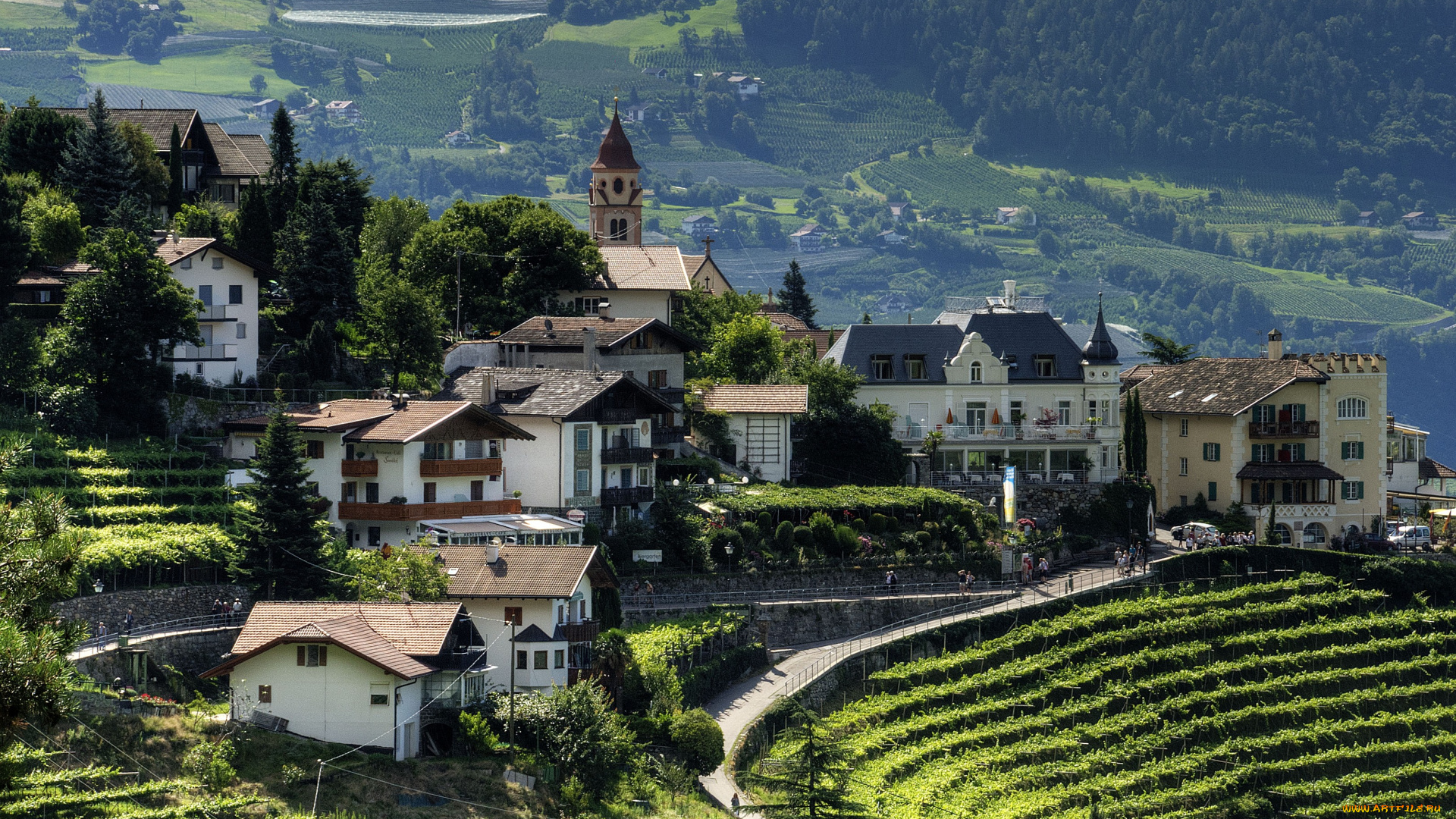 южный, тироль, италия, города, пейзажи, виноградники, поля, дома