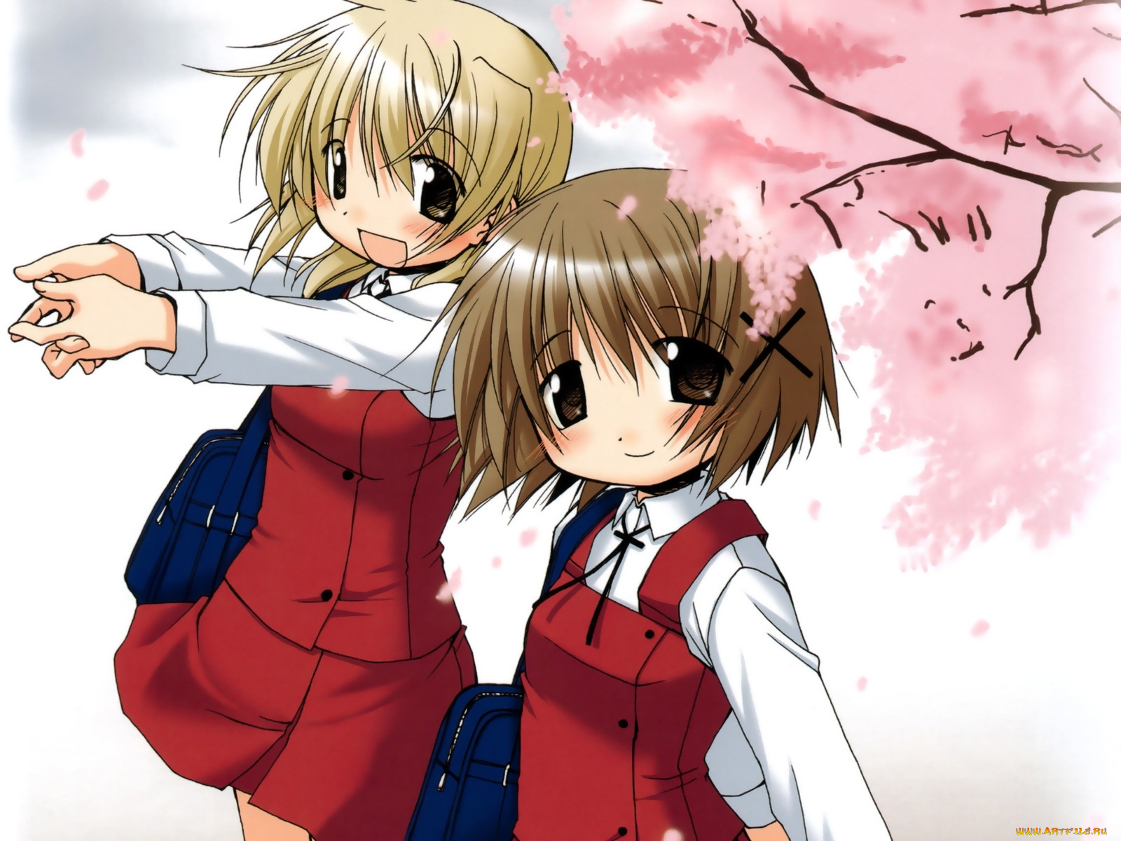 аниме, hidamari, sketch