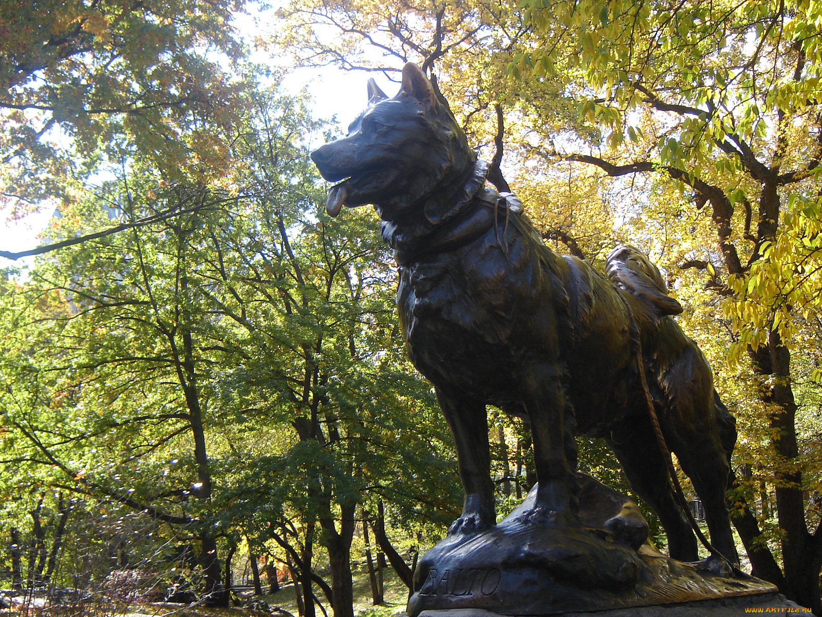 города, памятники, скульптуры, арт, объекты, собака