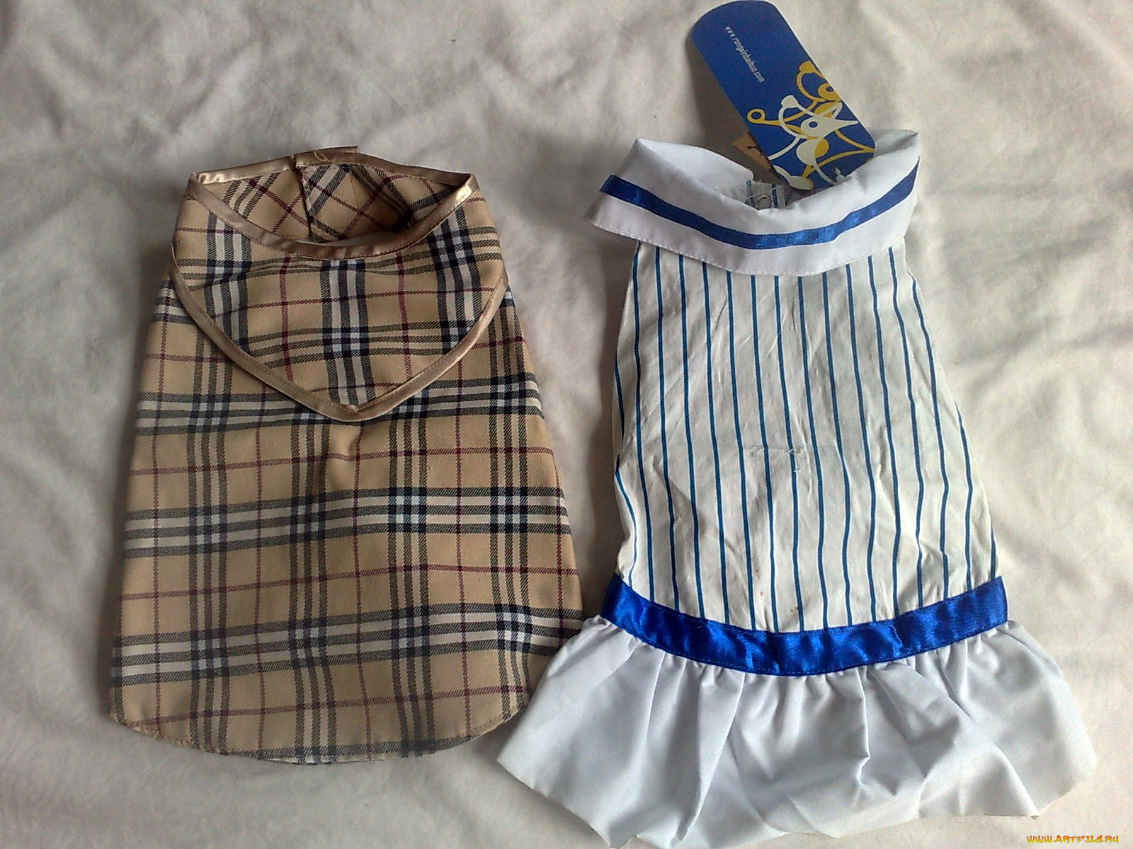 разное, одежда, обувь, текстиль, экипировка, для, собак