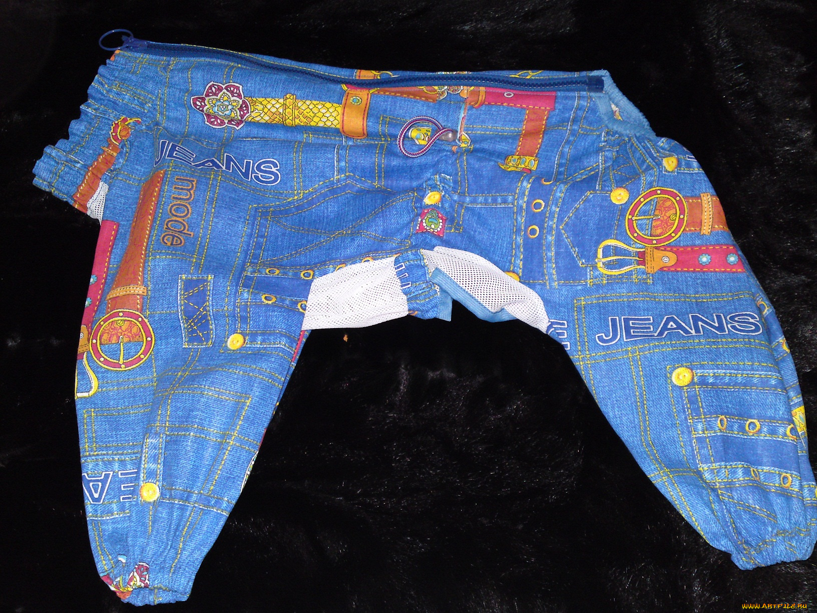 разное, одежда, обувь, текстиль, экипировка, для, собак