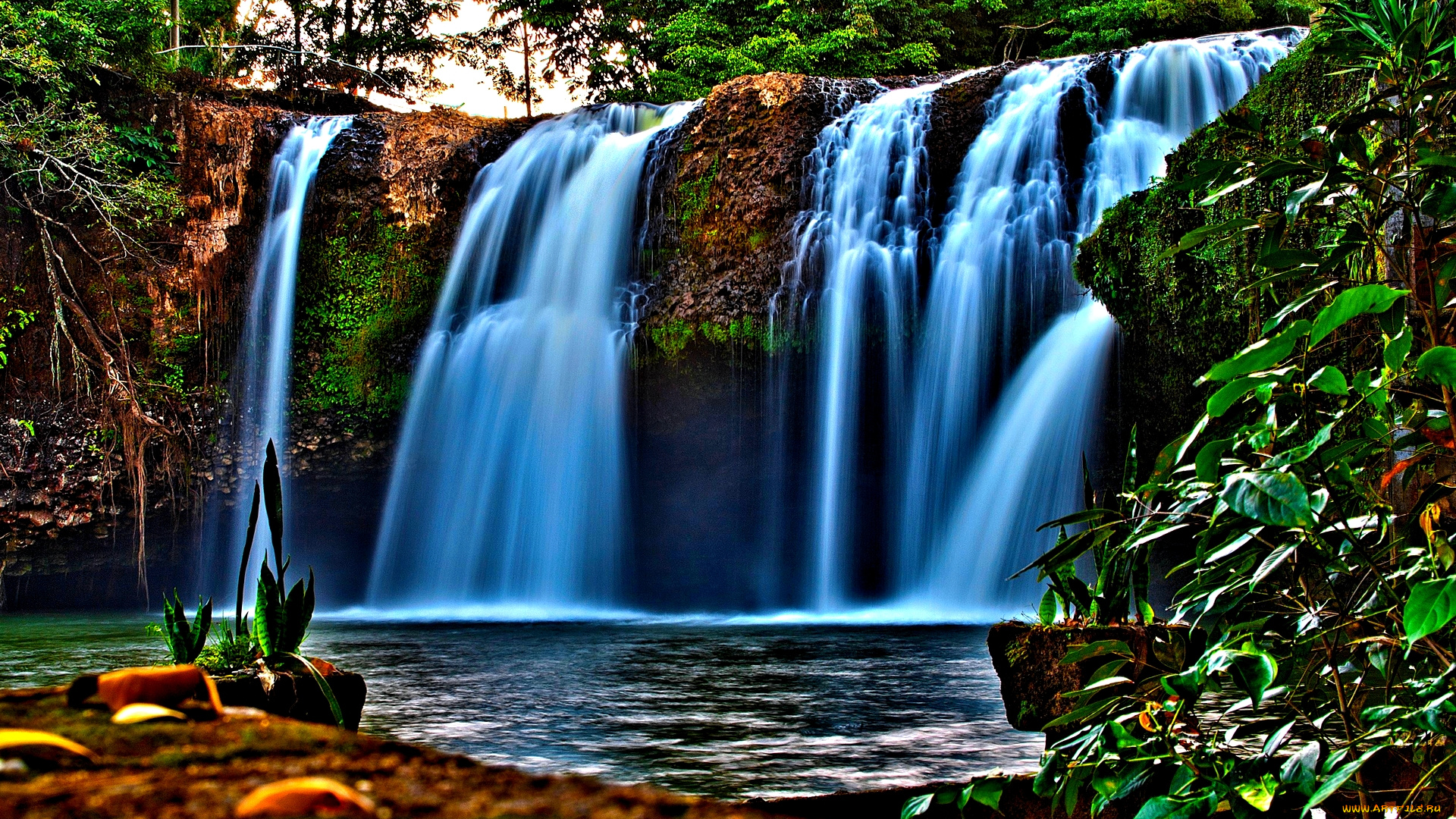 forest, falls, природа, водопады, лесной, водопад