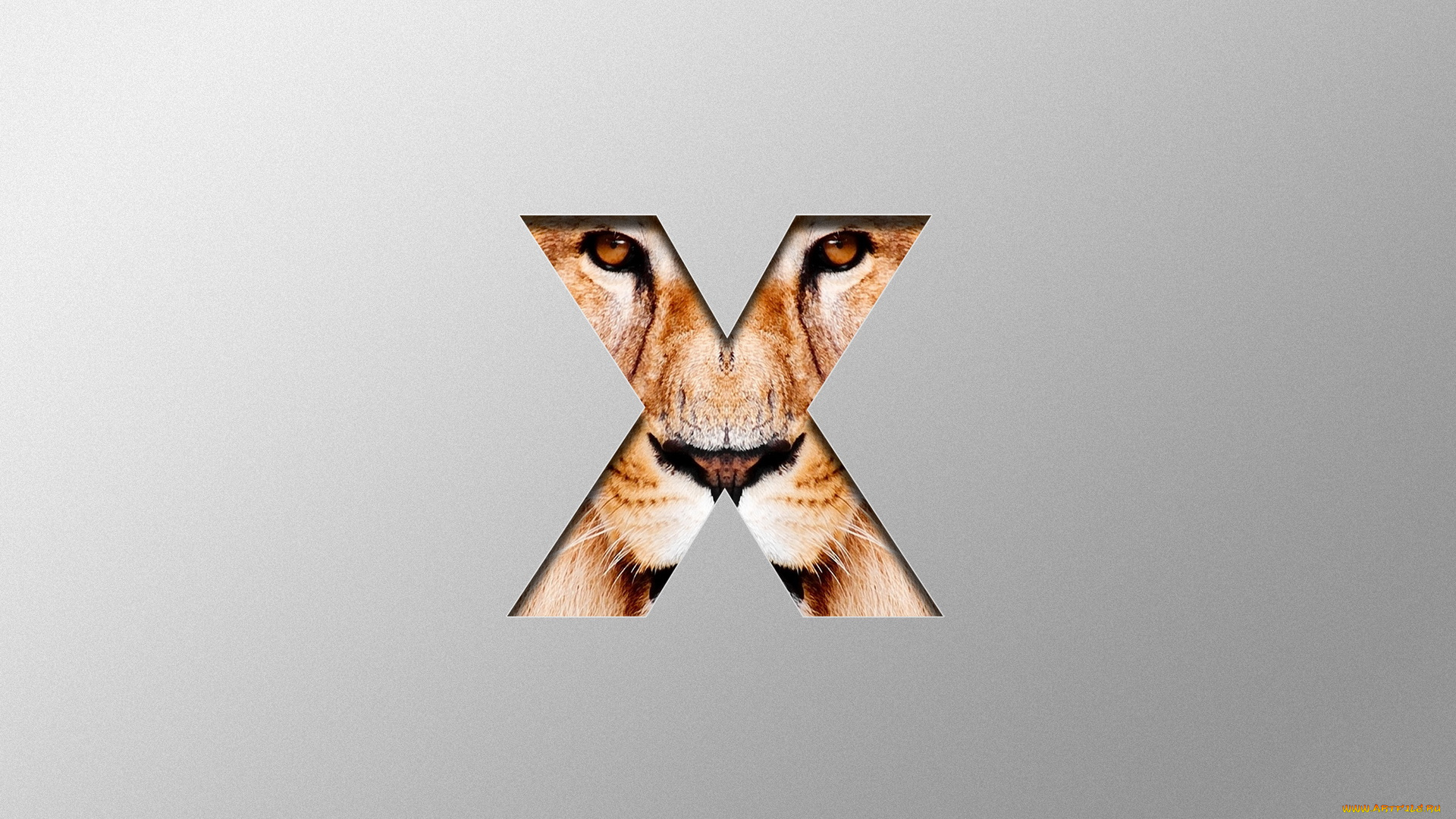 компьютеры, mac, os