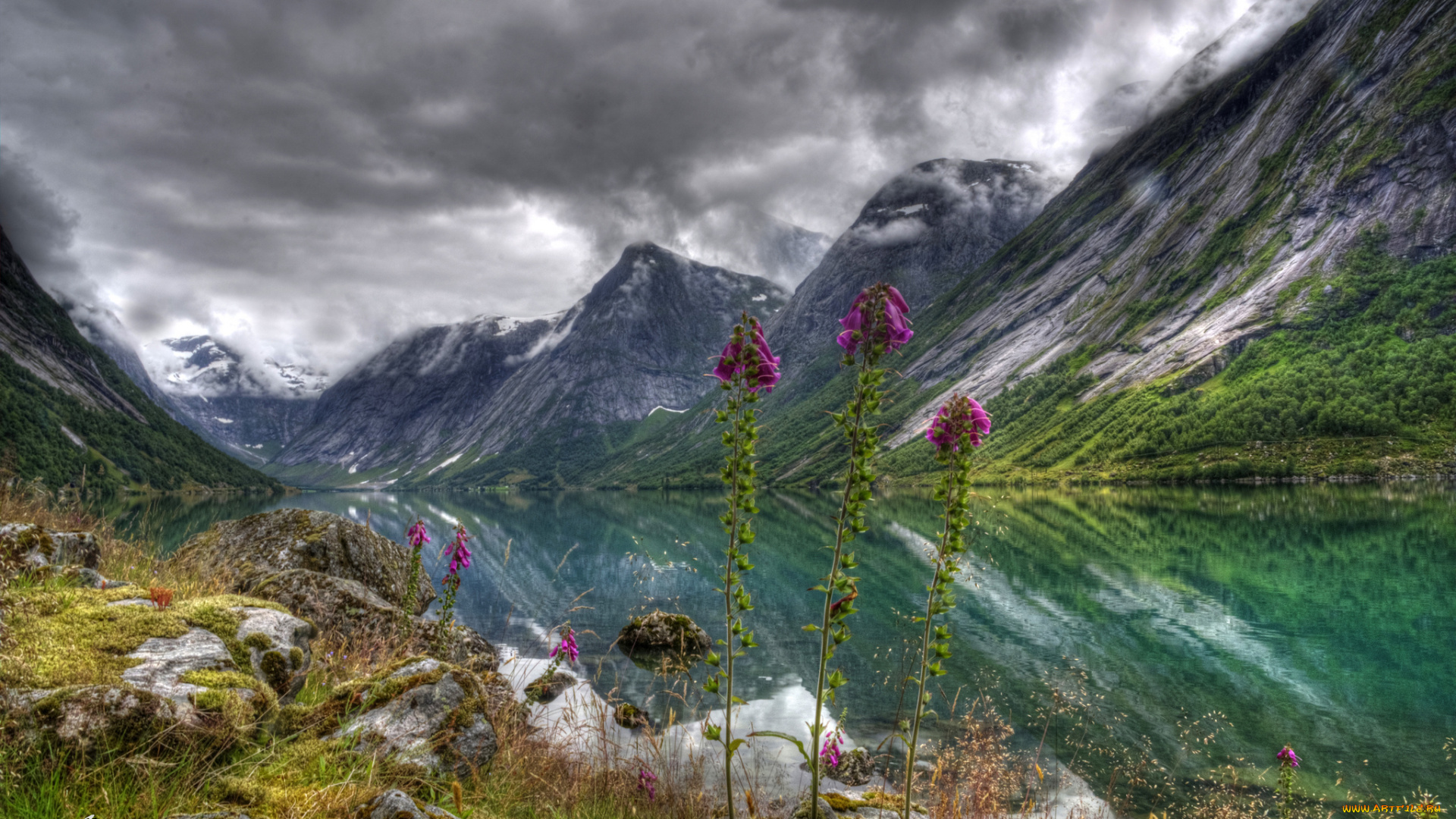 lake, j&, 248, lster, norway, природа, реки, озера, цветы, горы, норвегия, озеро, пейзаж
