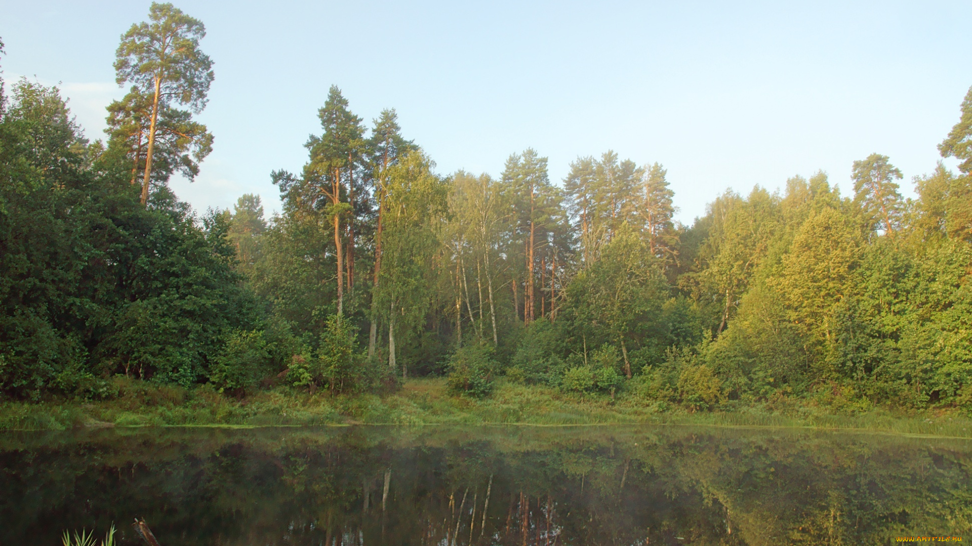 на, керженце, природа, реки, озера, лес, утро, река