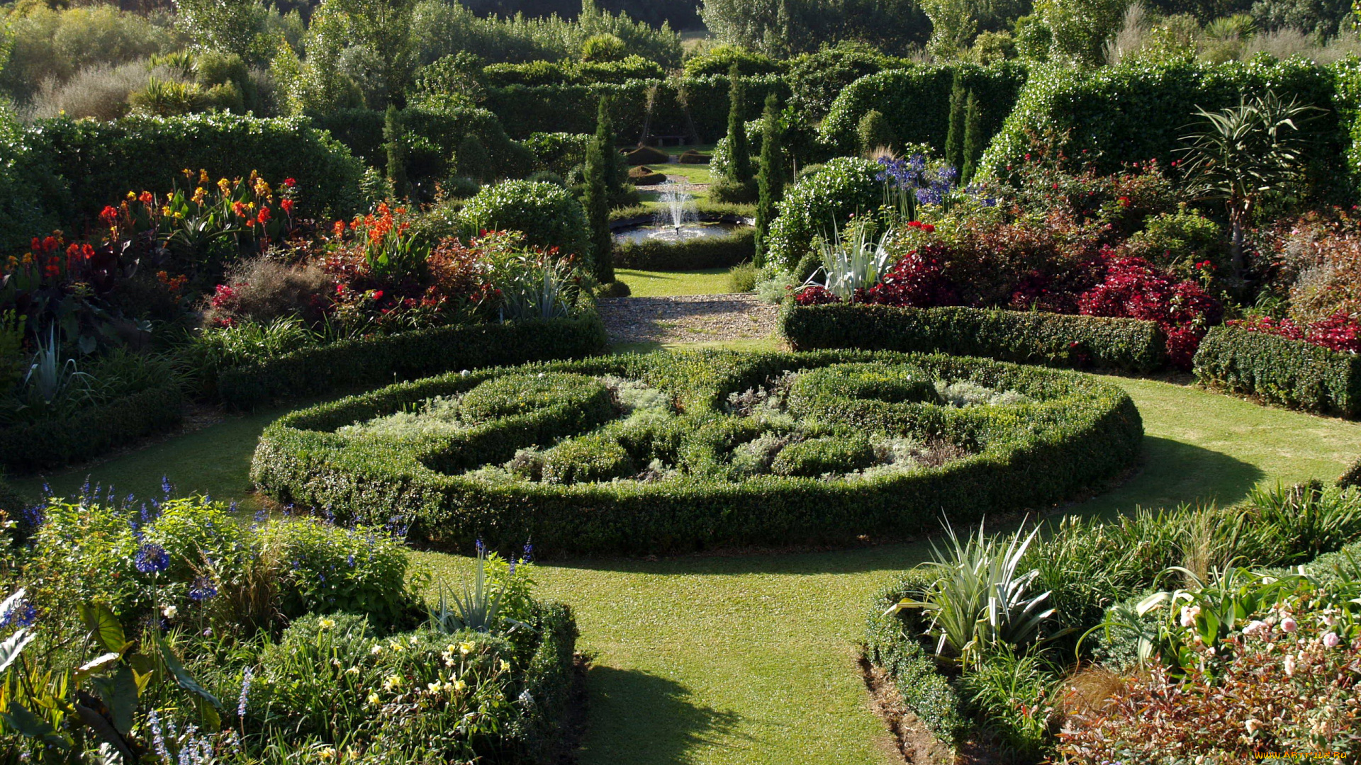 природа, парк, цветы, розы