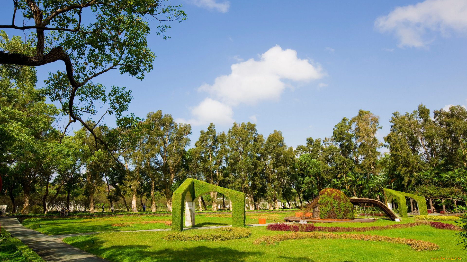 природа, парк, деревья, трава