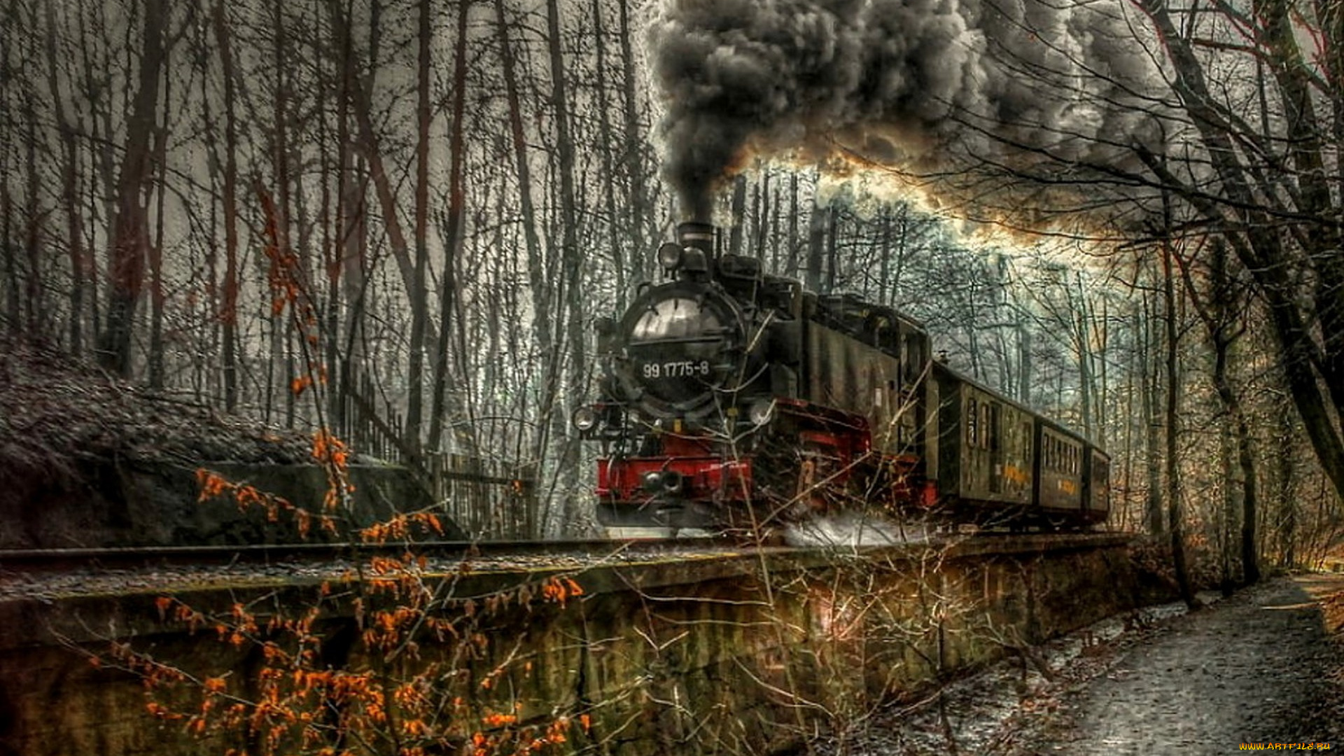 train, техника, паровозы, лес, состав, паровоз