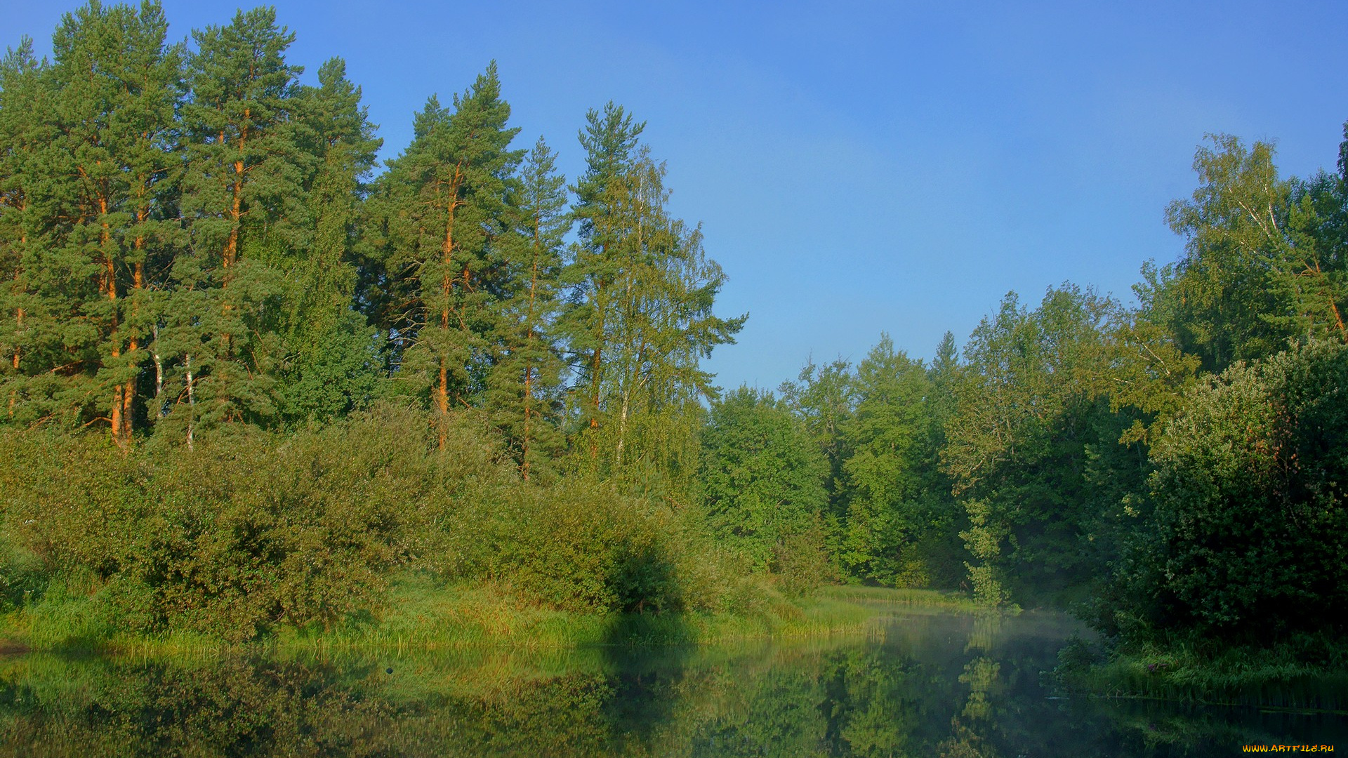утро, на, керженце, природа, реки, озера, лес, река