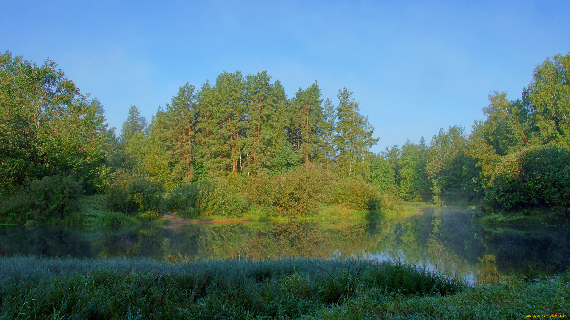 утро, на, керженце, природа, реки, озера, лес, река