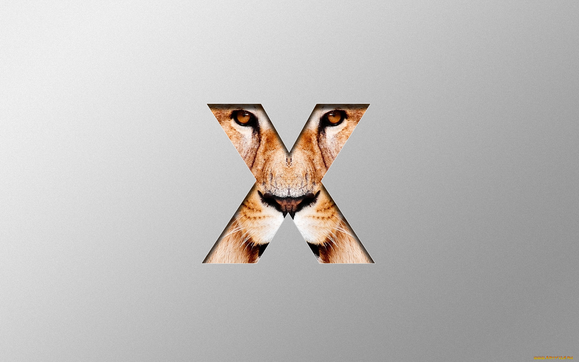 компьютеры, mac, os