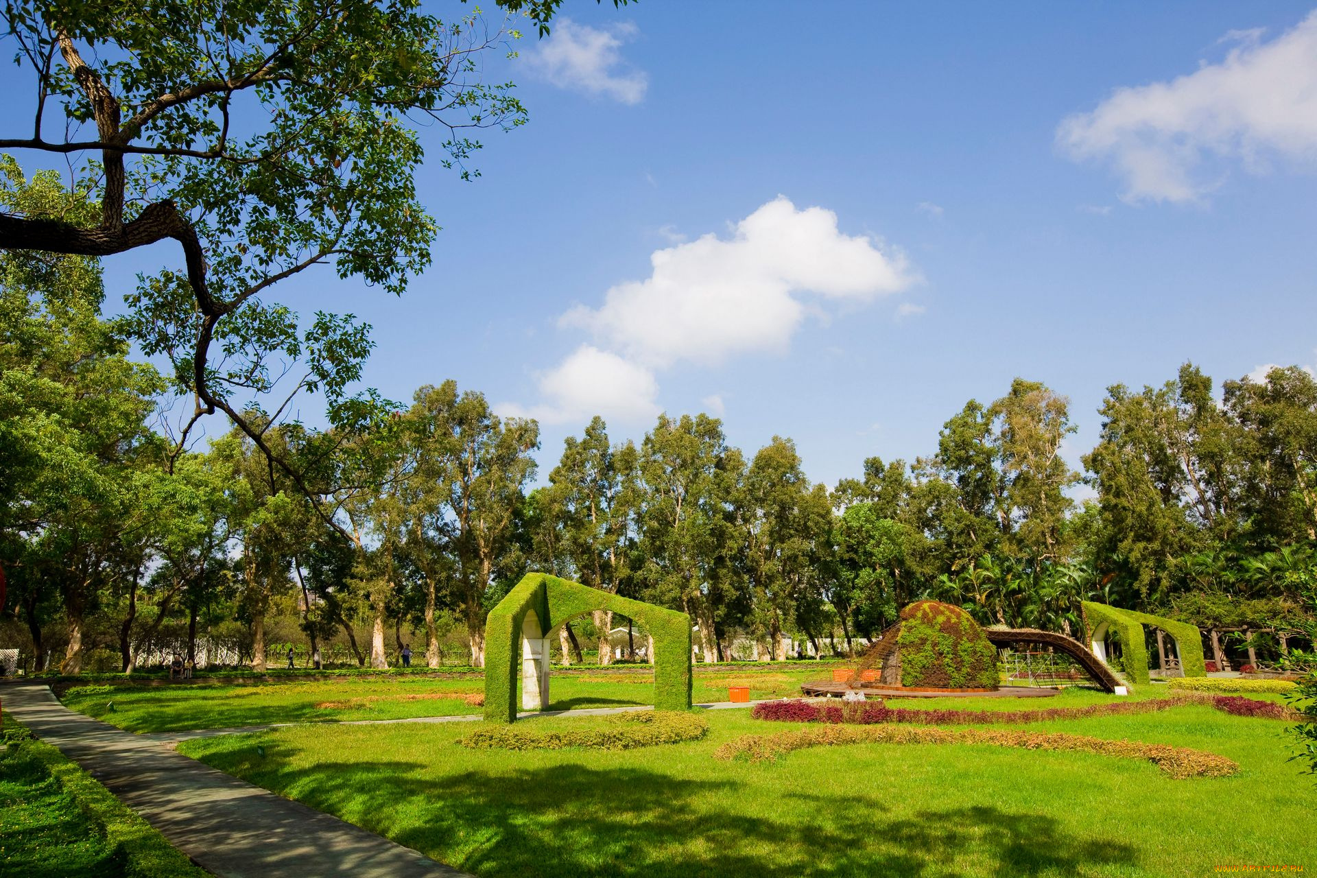 природа, парк, деревья, трава