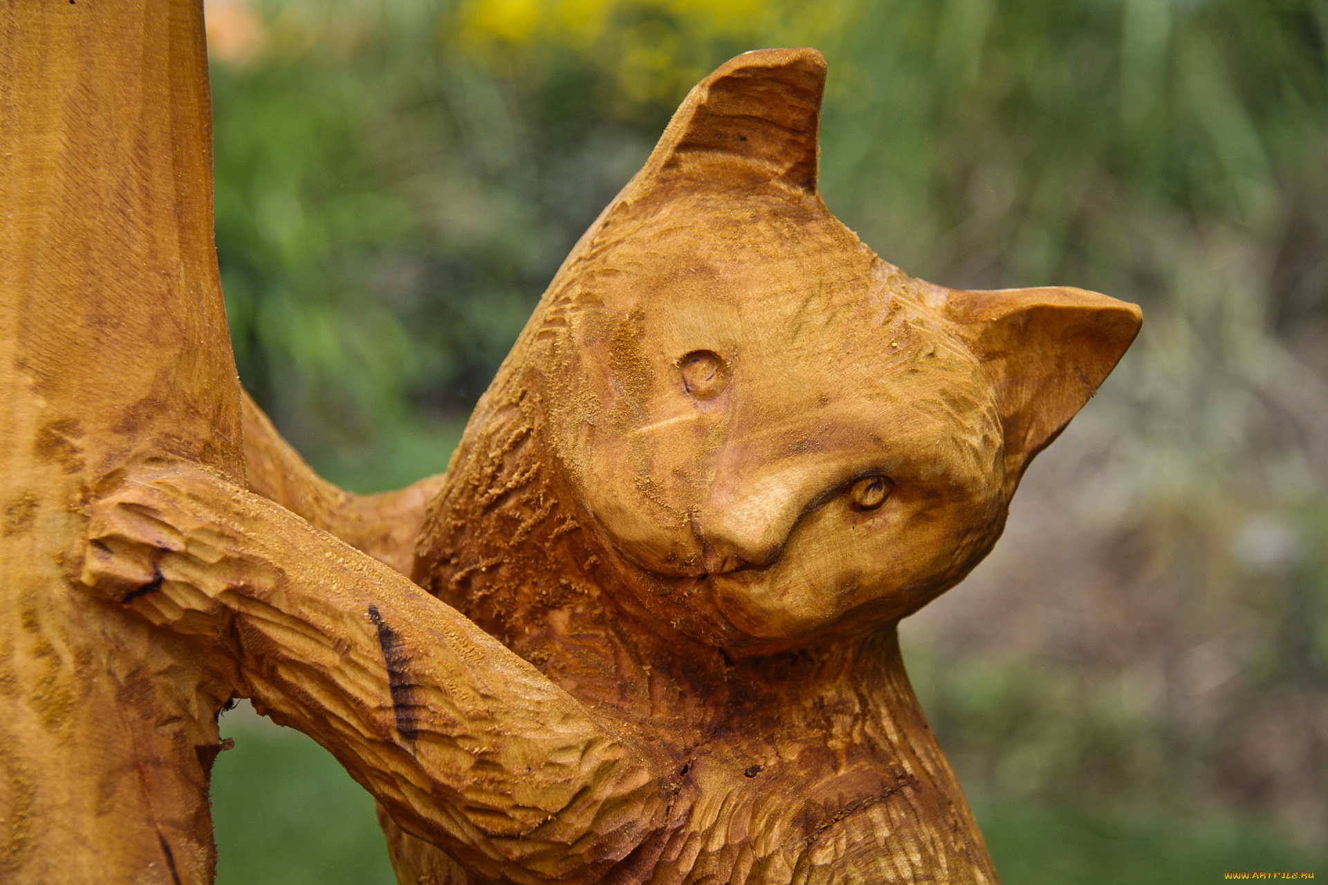 разное, рельефы, статуи, музейные, экспонаты, кот, дерево