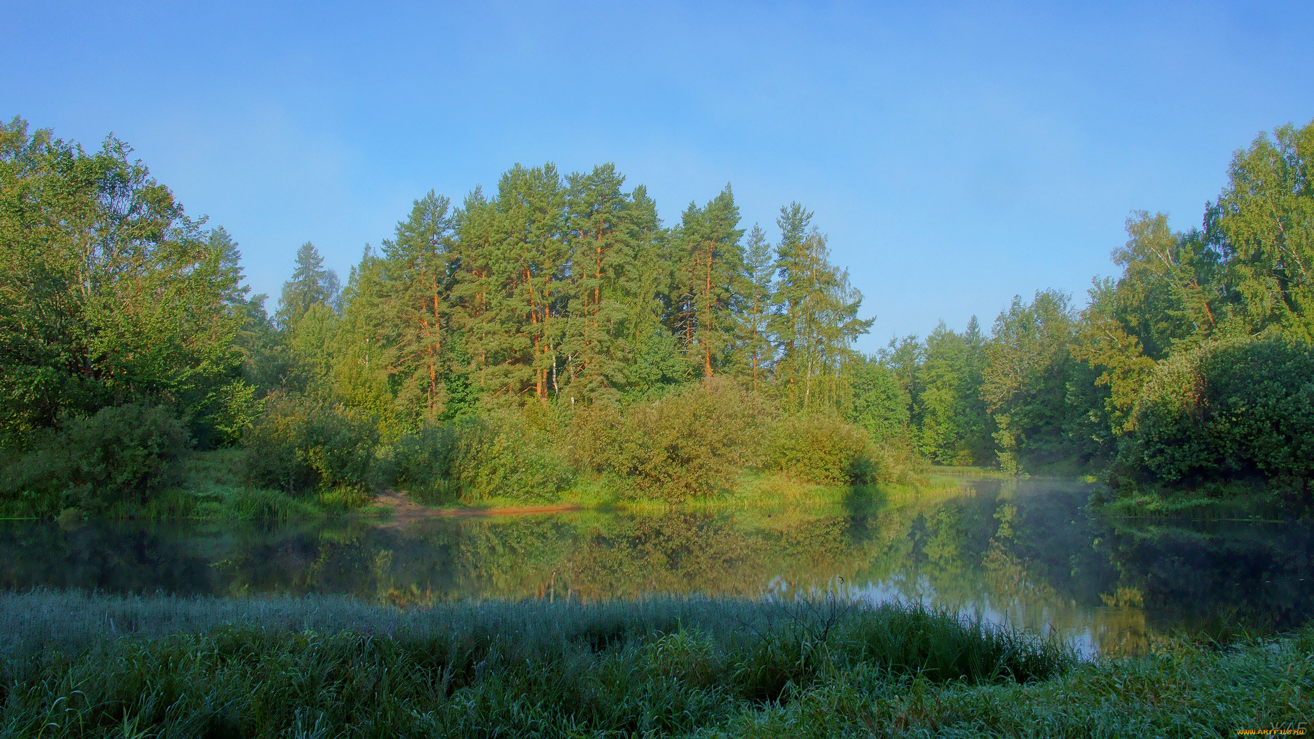 утро, на, керженце, природа, реки, озера, лес, река