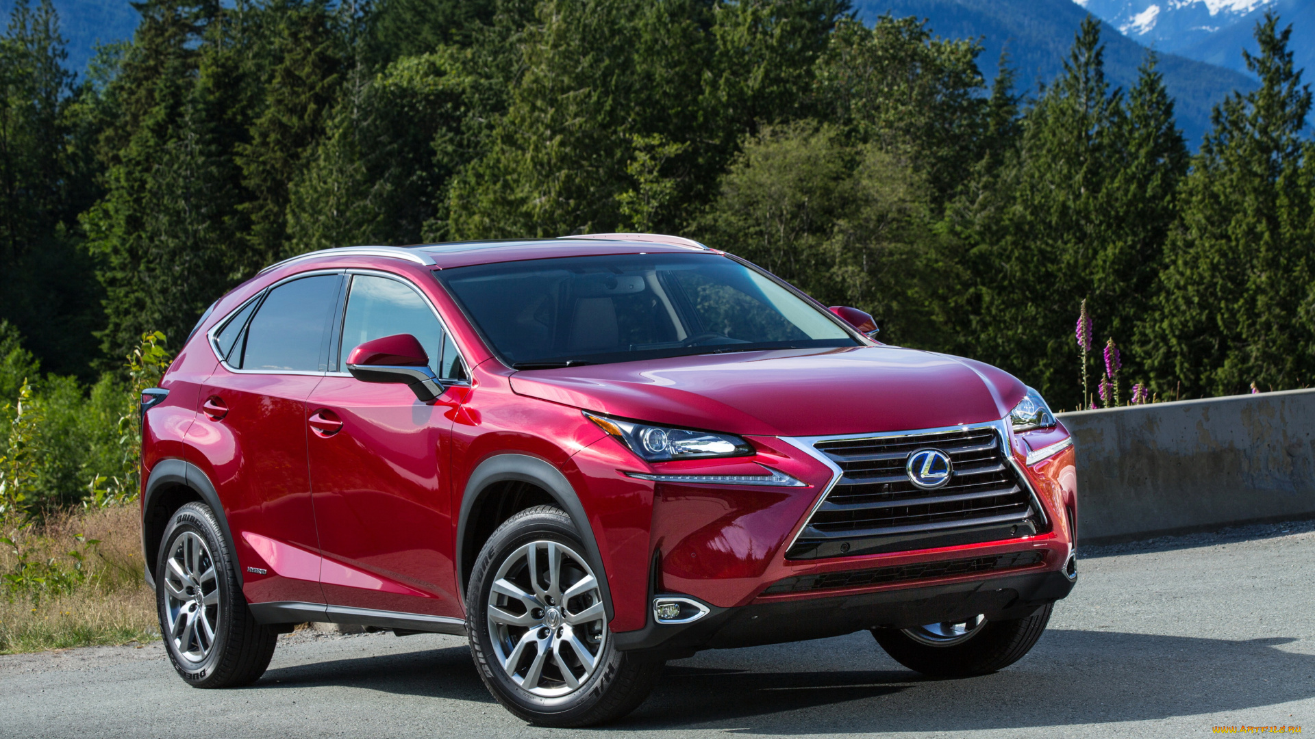 2015, lexus, nx, 00h, автомобили, lexus, металлик, красный