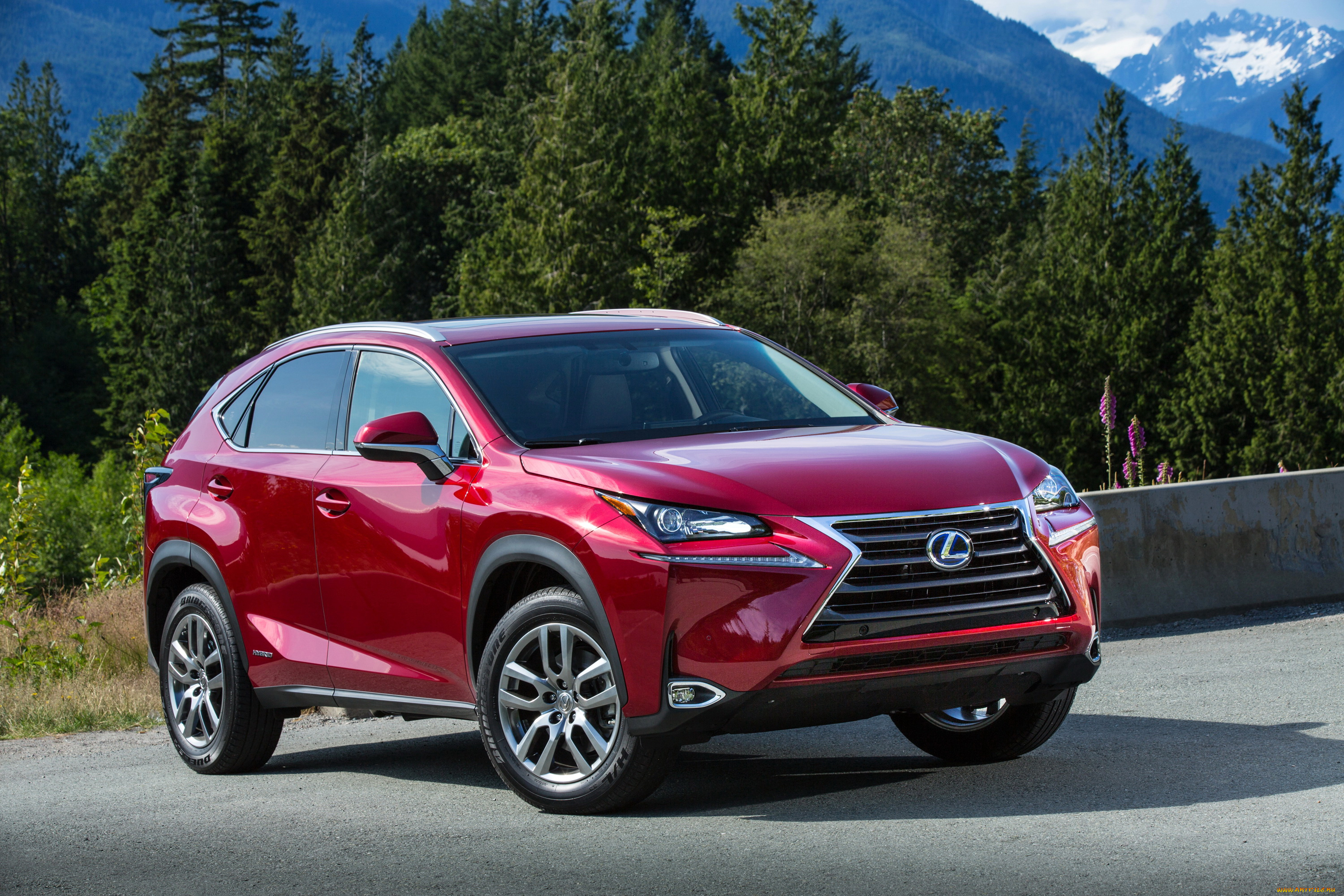 2015, lexus, nx, 00h, автомобили, lexus, металлик, красный