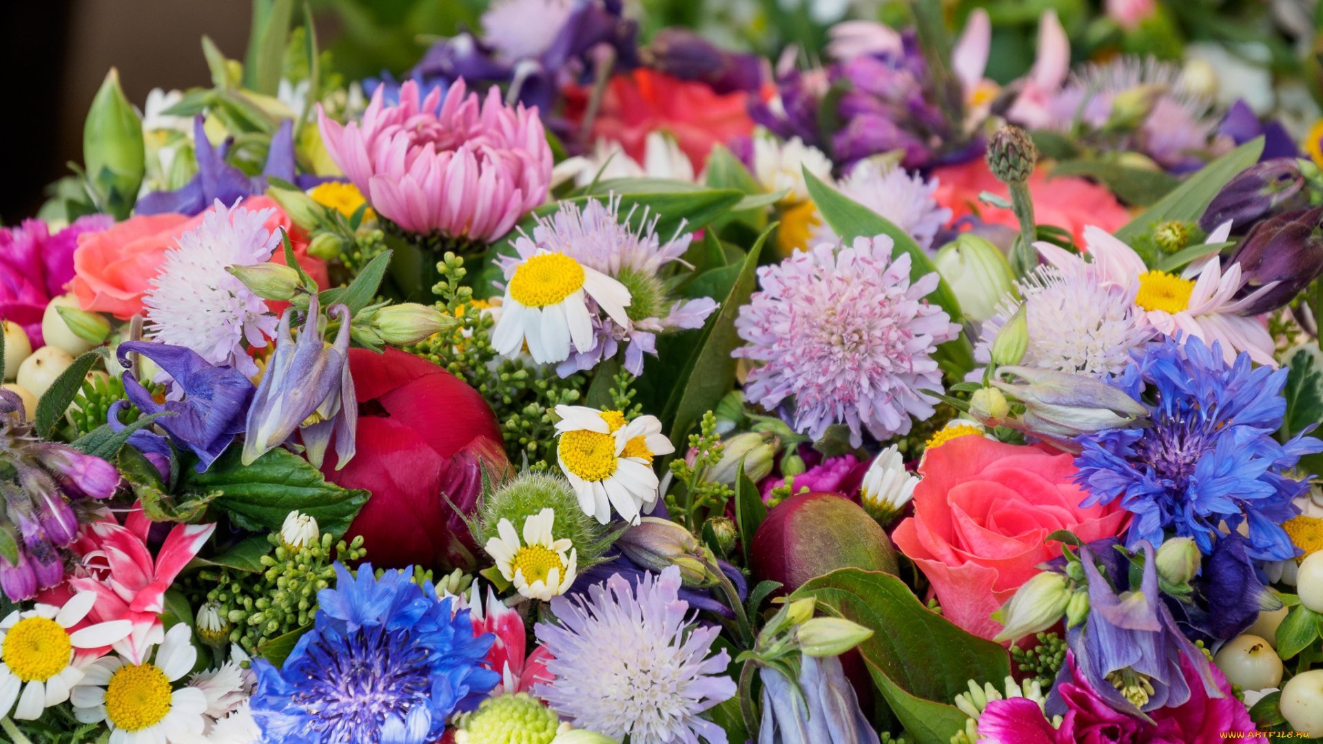 цветы, букеты, , композиции, макро, разноцветные, букет