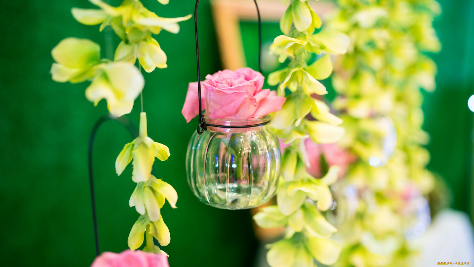 цветы, разные, вместе, баночка, бутон, роза