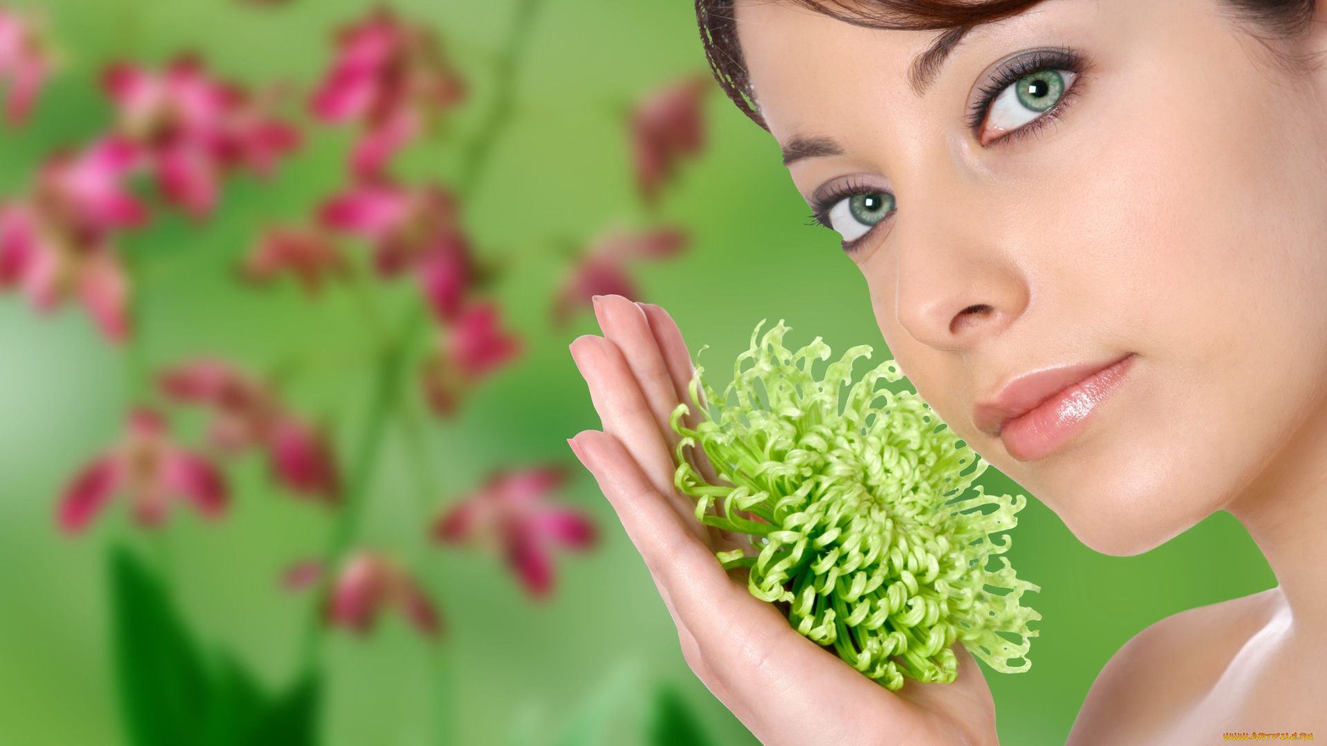 девушки, -unsort, , лица, , портреты, цветок, рука, улыбка, взгляд, хризантема