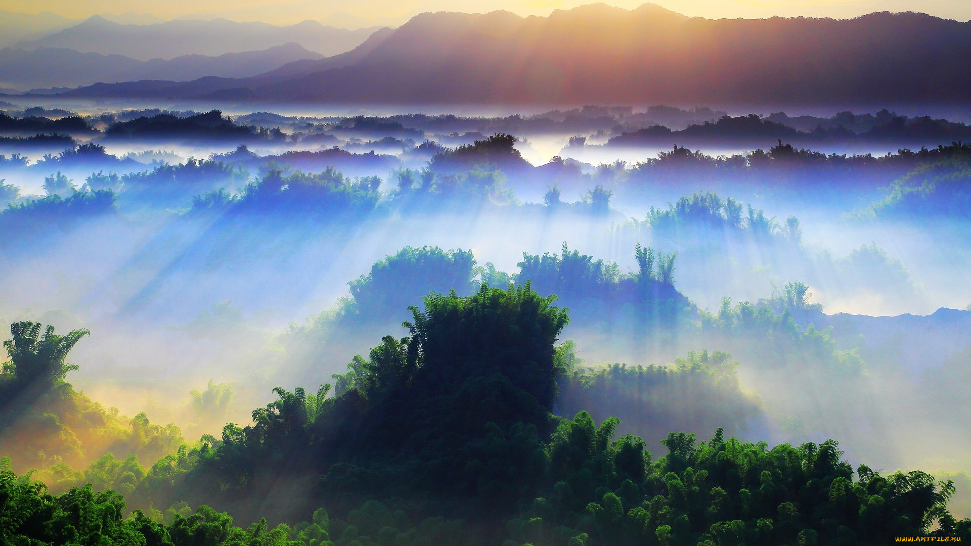 природа, восходы, закаты, trees, деревья, дерево, пейзаж, красота, лучи, солнце, утро, day, день