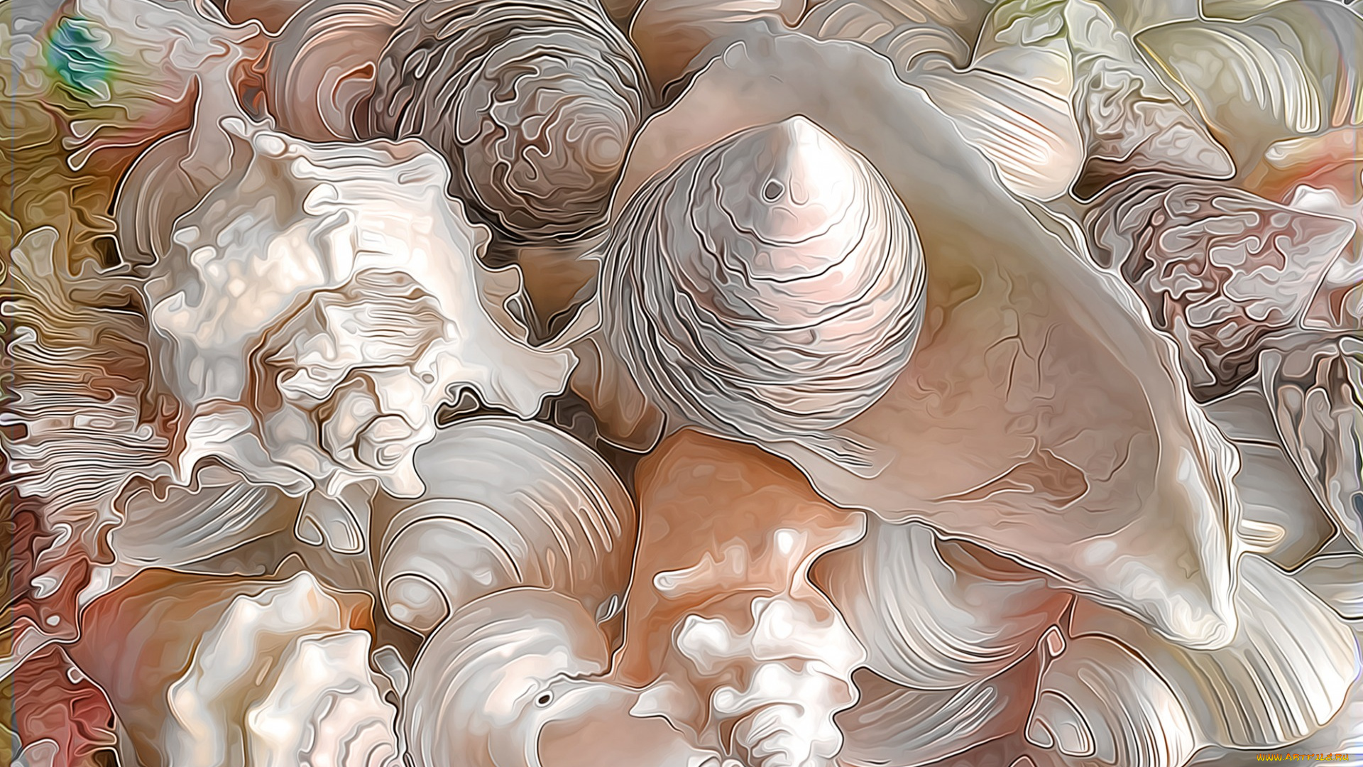 разное, компьютерный, дизайн, раковина, линии, ракушка, рендеринг, краски