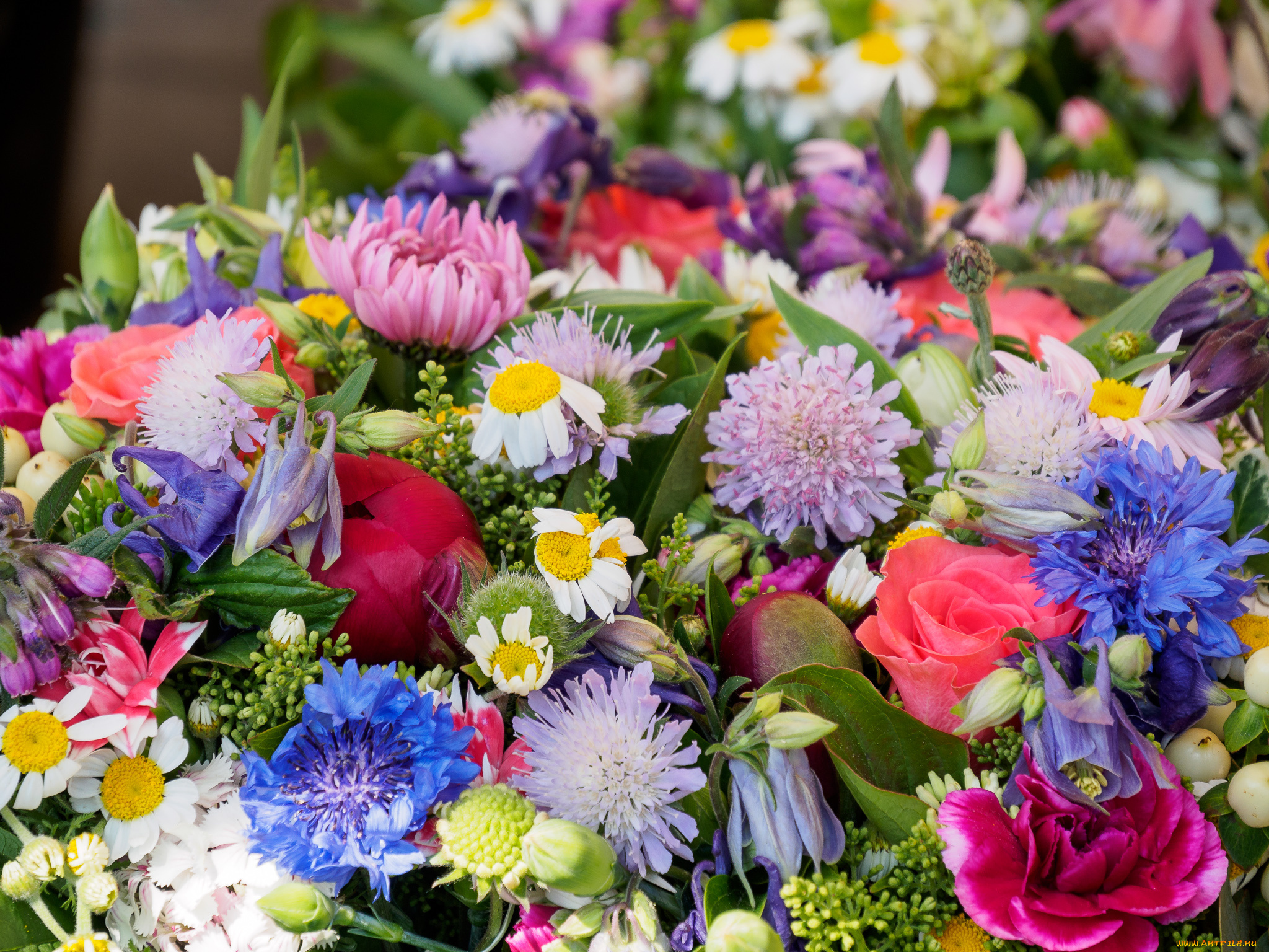 цветы, букеты, , композиции, макро, разноцветные, букет