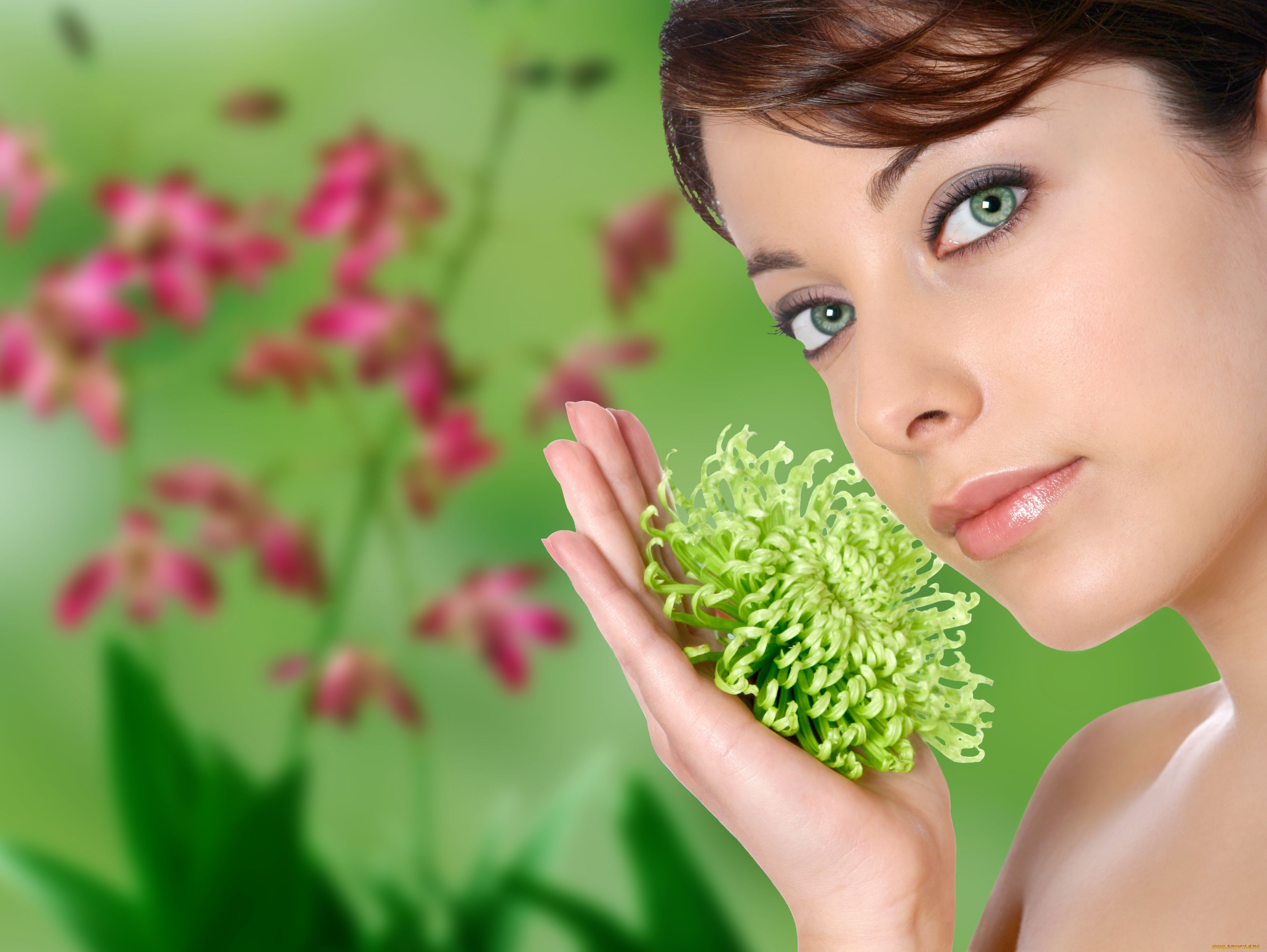 девушки, -unsort, , лица, , портреты, цветок, рука, улыбка, взгляд, хризантема