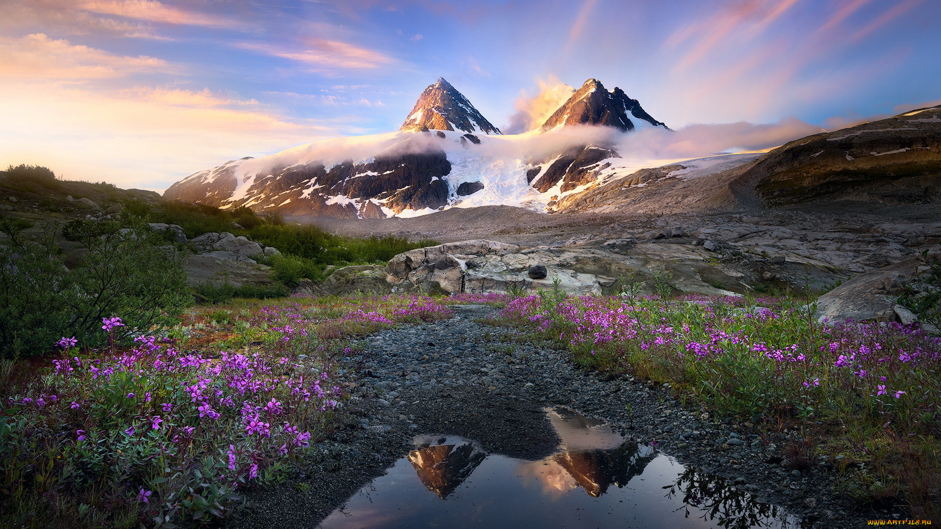 природа, горы, цветы