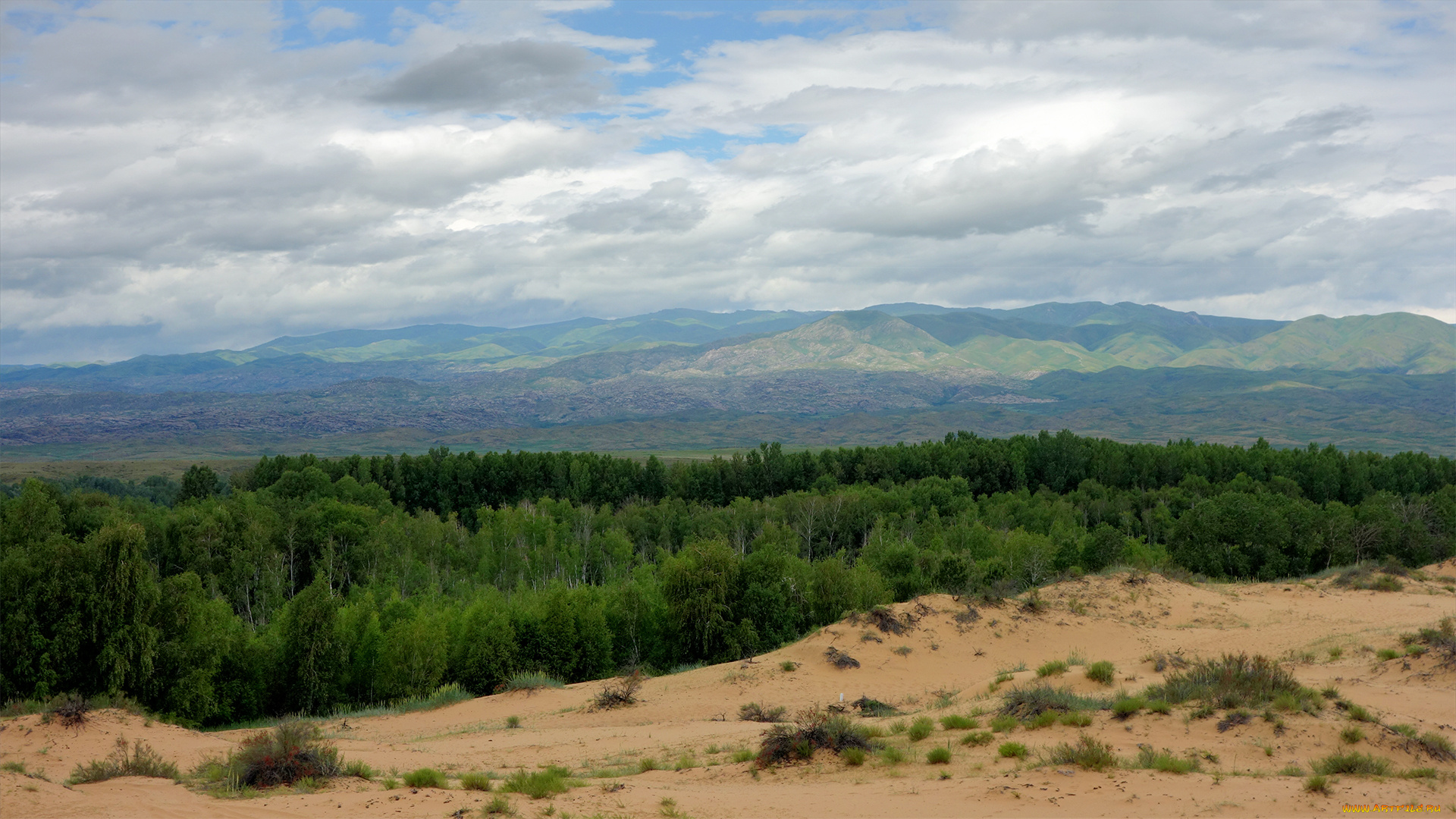 природа, пейзажи, холмы, лес