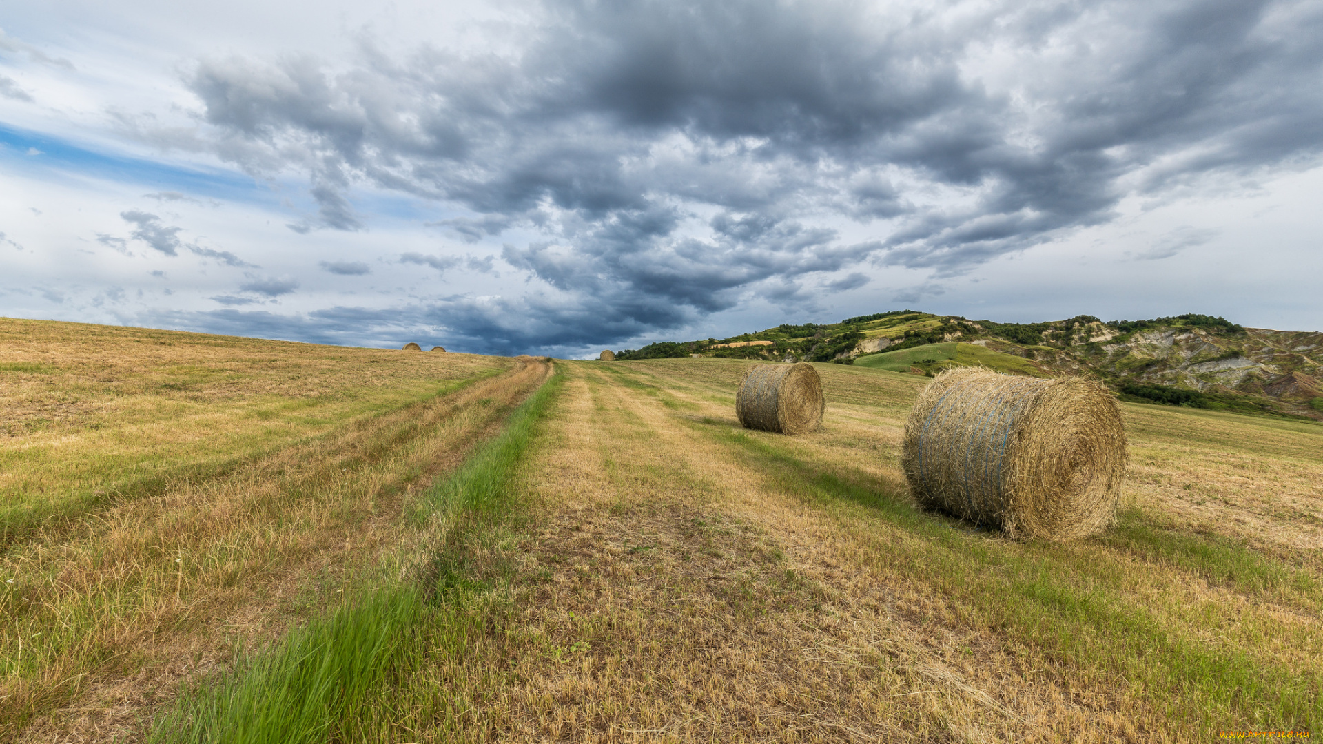 природа, поля, простор