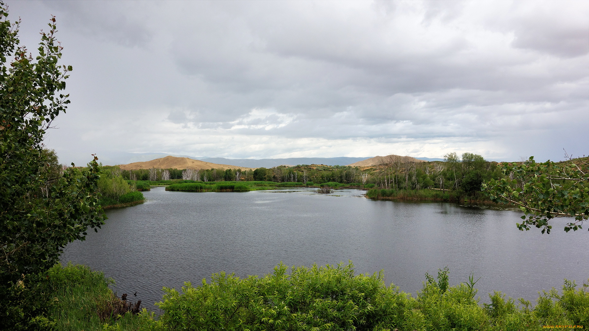 природа, реки, озера, холм, лес, озеро