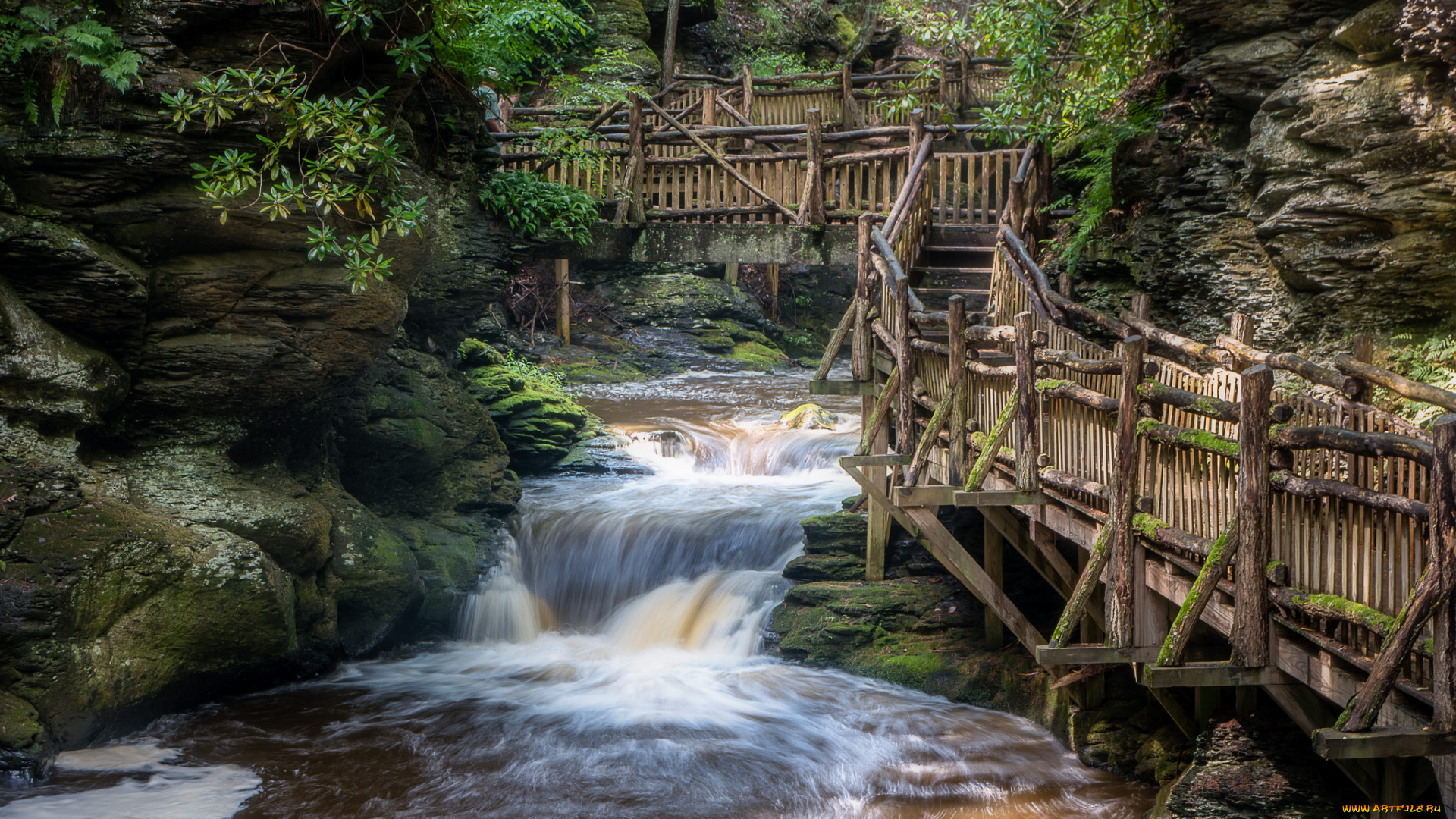 природа, реки, озера, лес, река