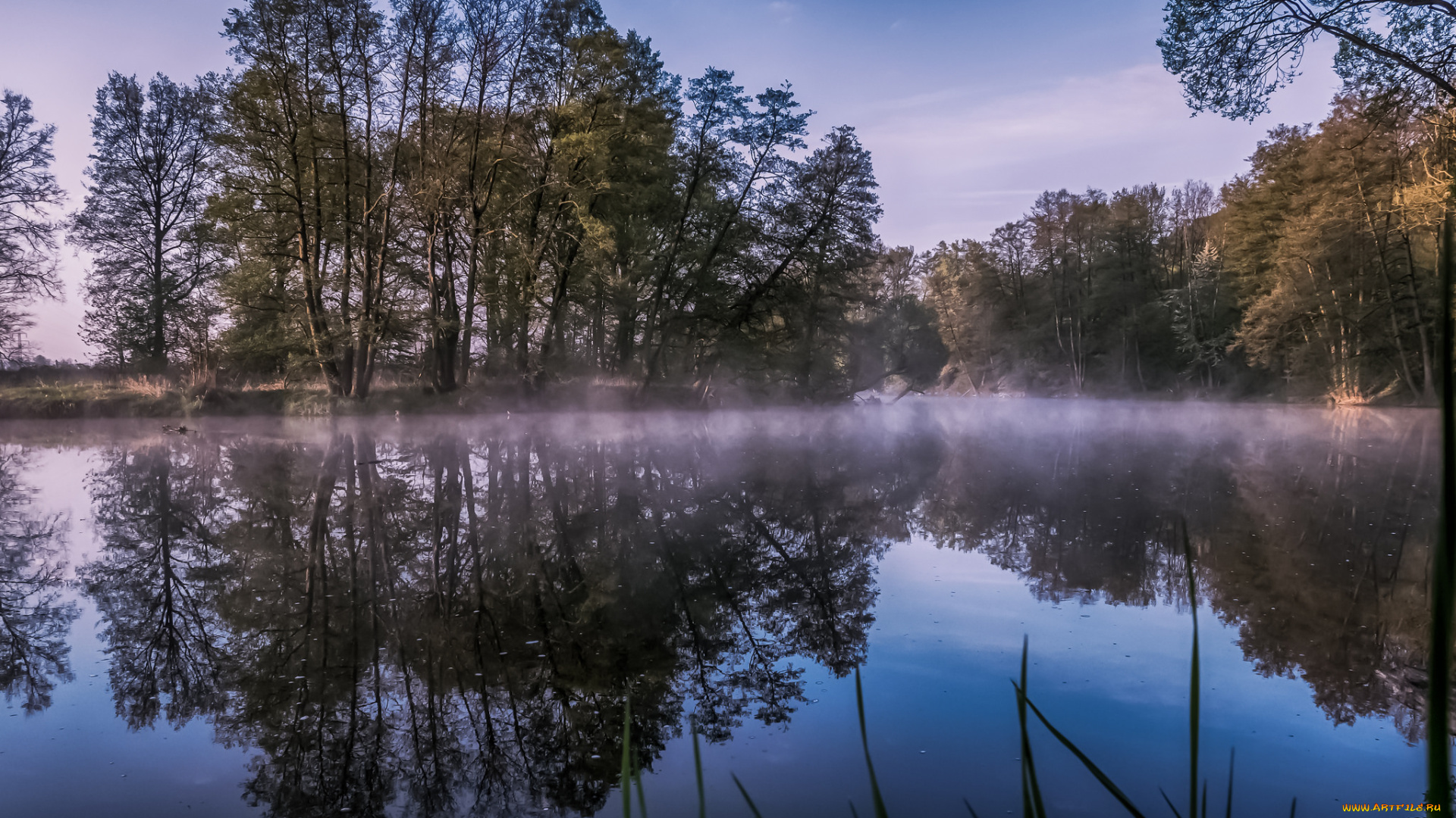 природа, реки, озера, лес, река