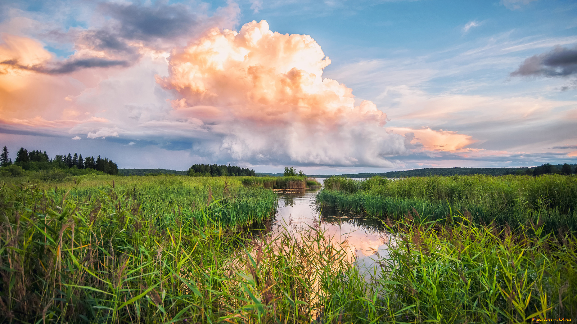 природа, реки, озера, река, лес