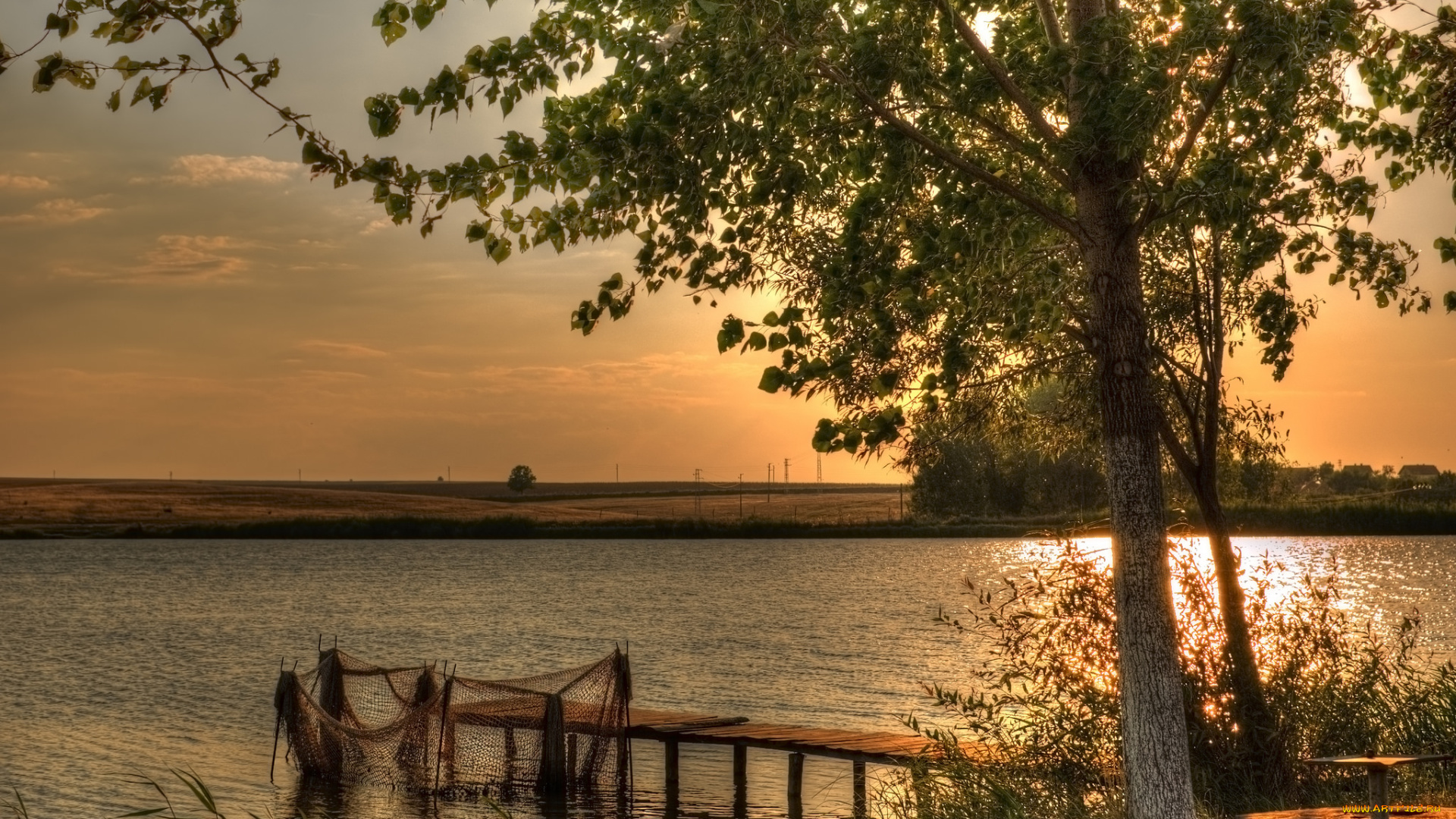 природа, реки, озера, река, лес