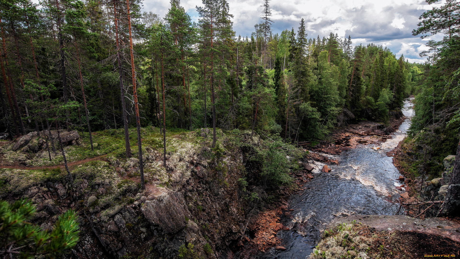 природа, реки, озера, река, лес