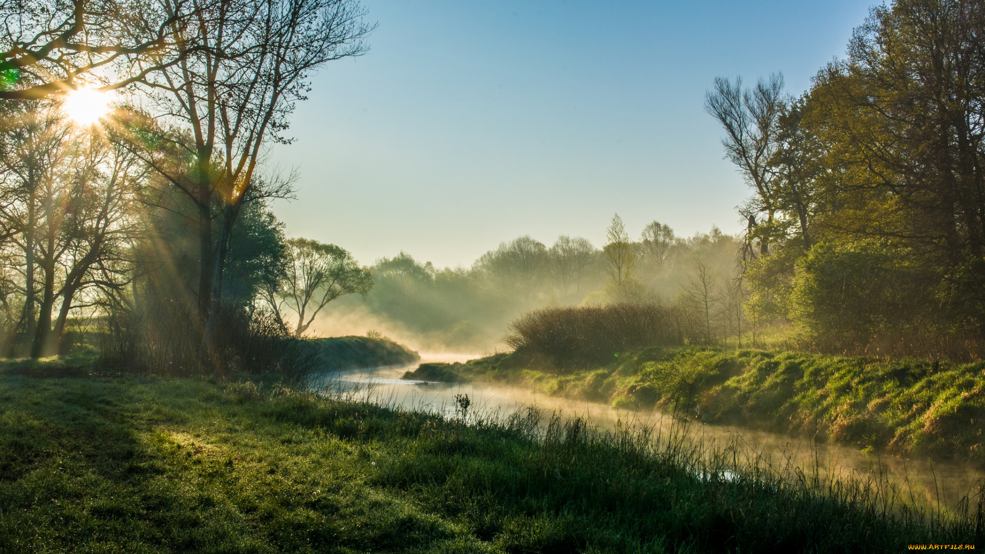 природа, реки, озера, река, лес