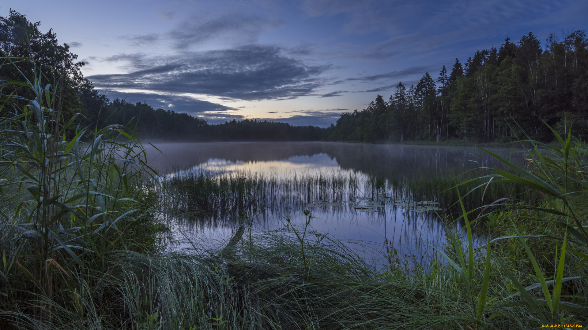 природа, реки, озера, река, лес