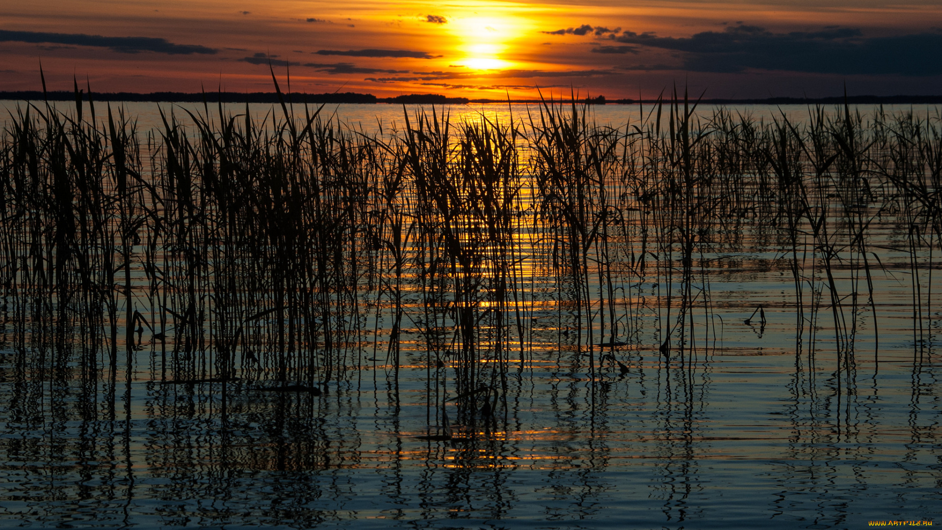 природа, восходы, закаты, рассвет