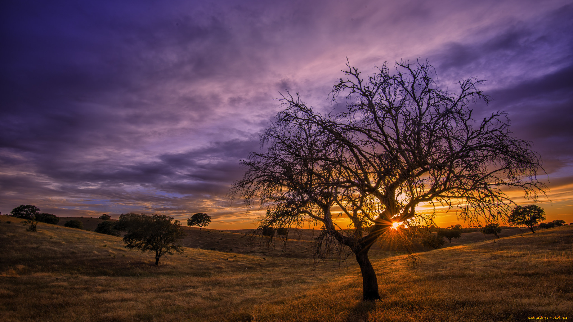 природа, восходы, закаты, рассвет