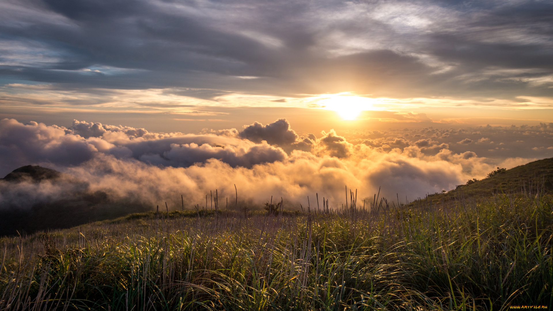 природа, восходы, закаты, рассвет
