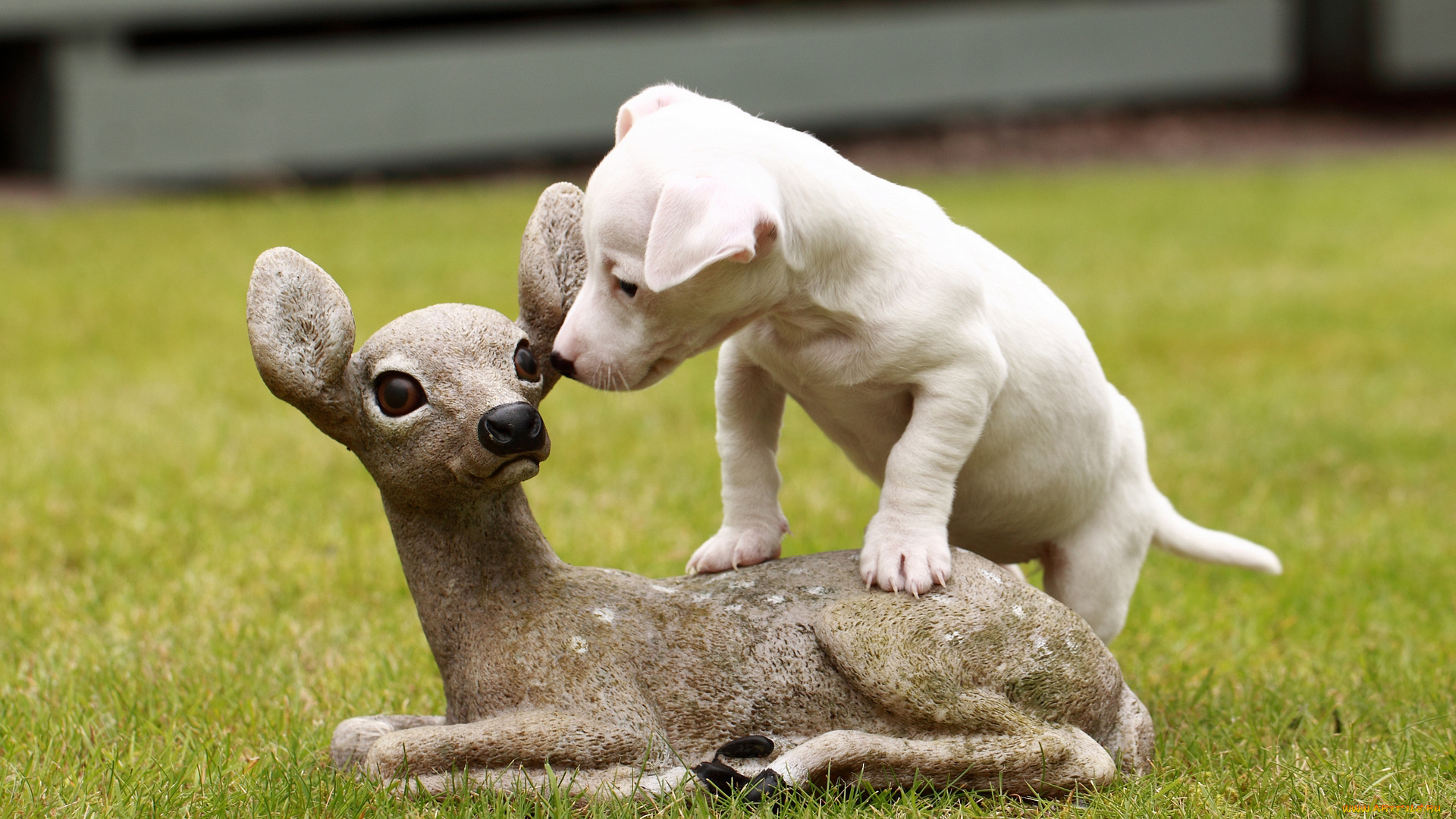 животные, собаки, щенок, собака, оленёнок, скульптура, джек-рассел-терьер