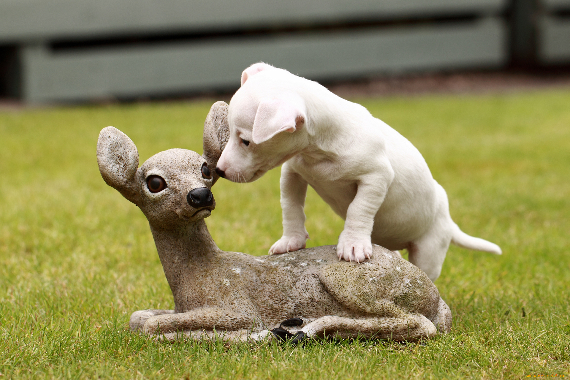 животные, собаки, щенок, собака, оленёнок, скульптура, джек-рассел-терьер