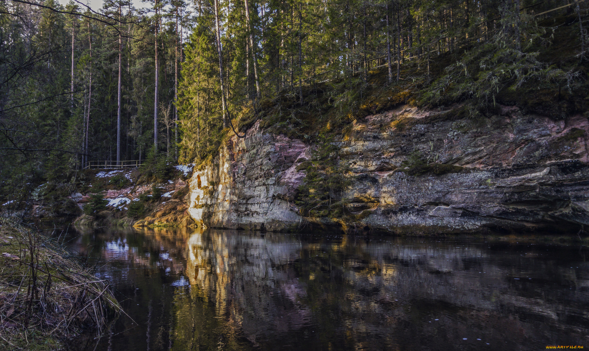 природа, реки, озера, река, лес