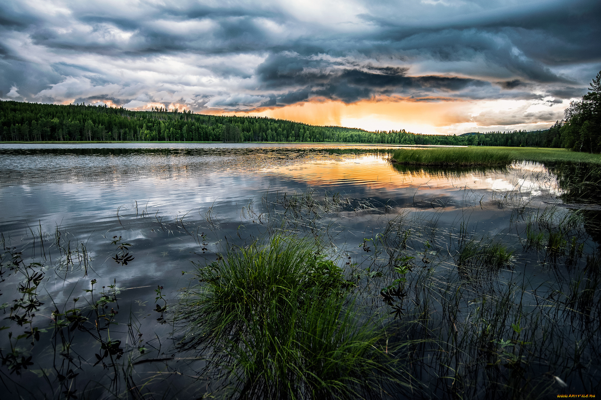 природа, реки, озера, река, лес